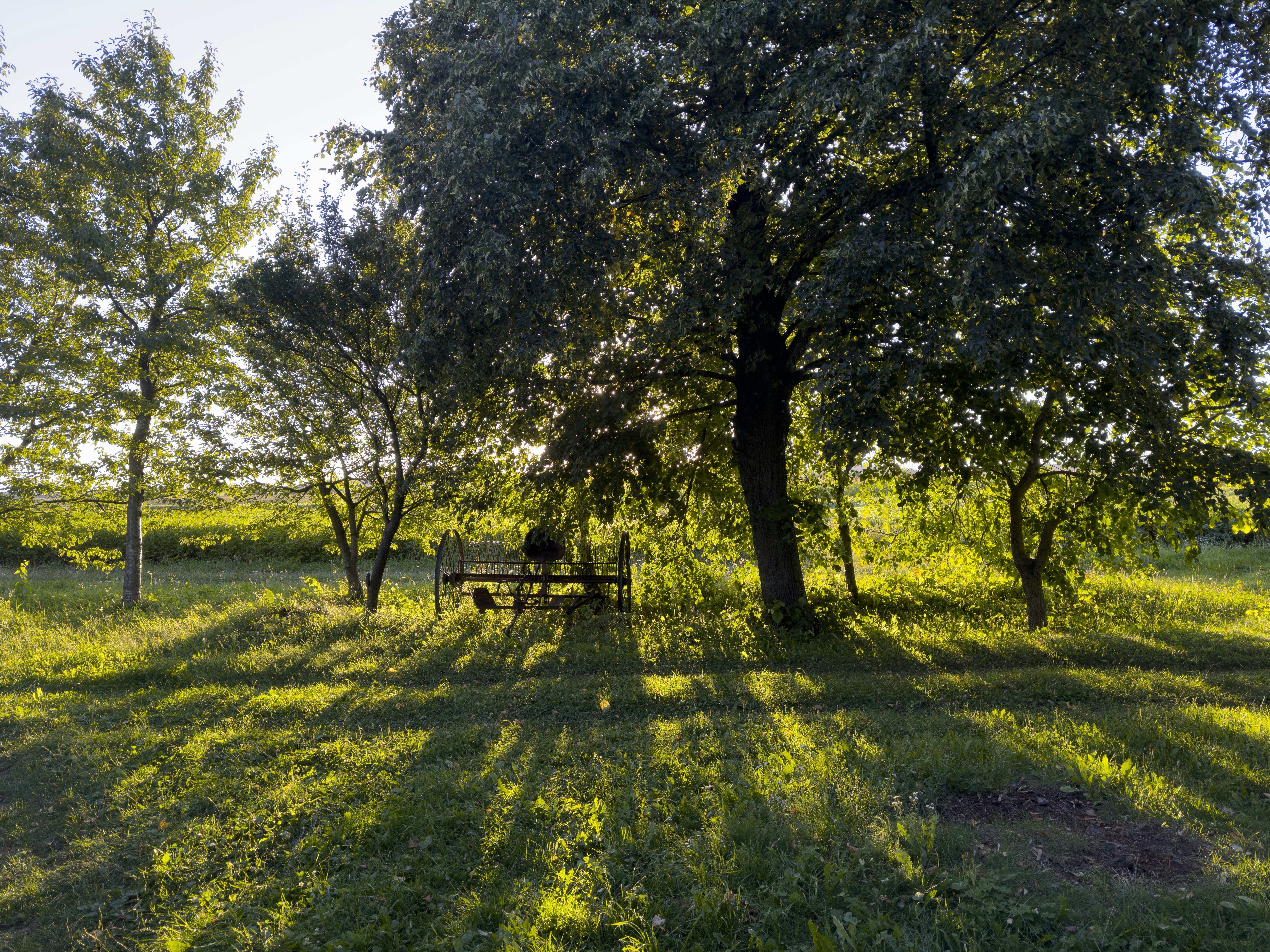 Photo by viktorsmoliak