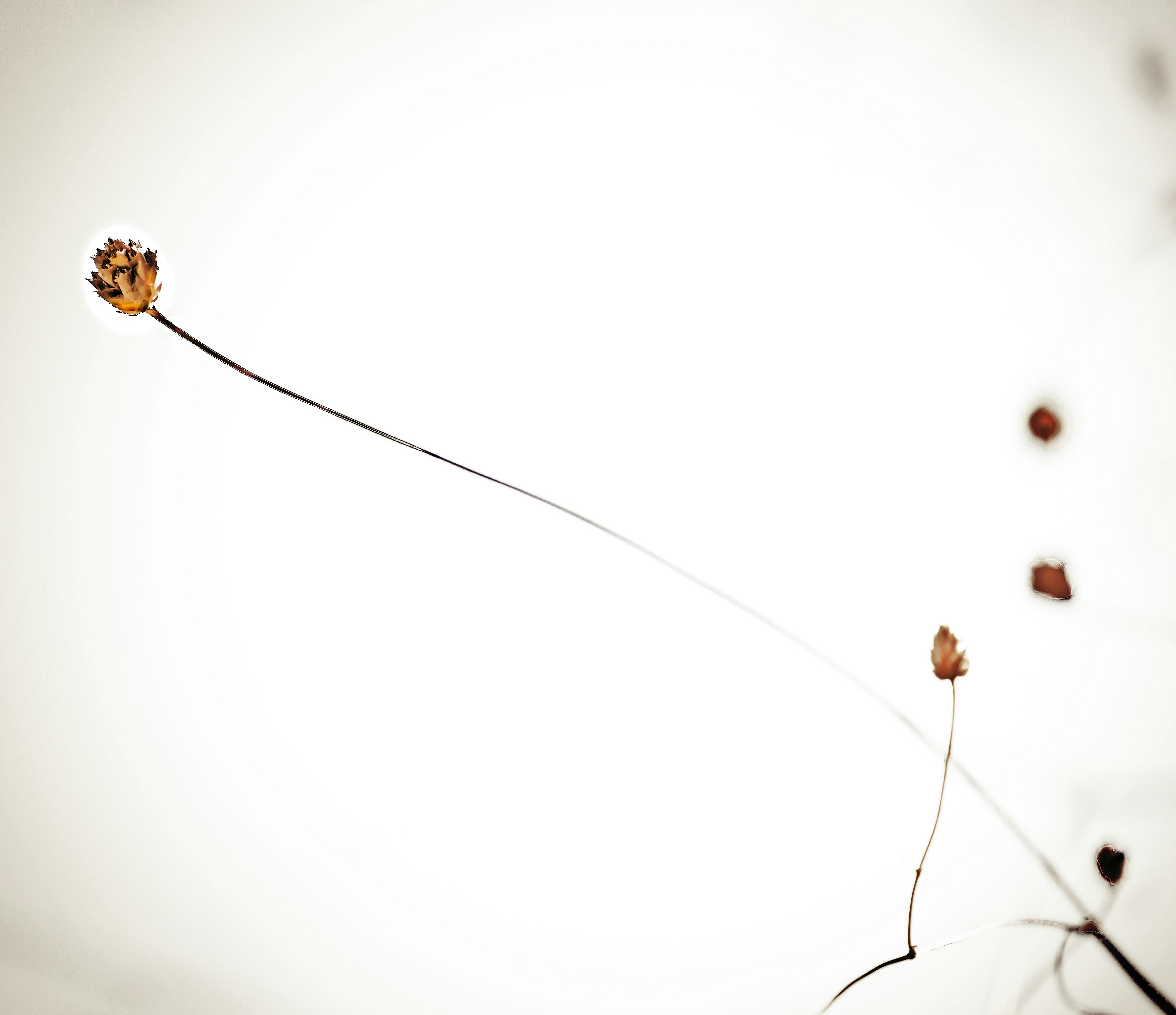 Photo by gabyfishmanfosbery