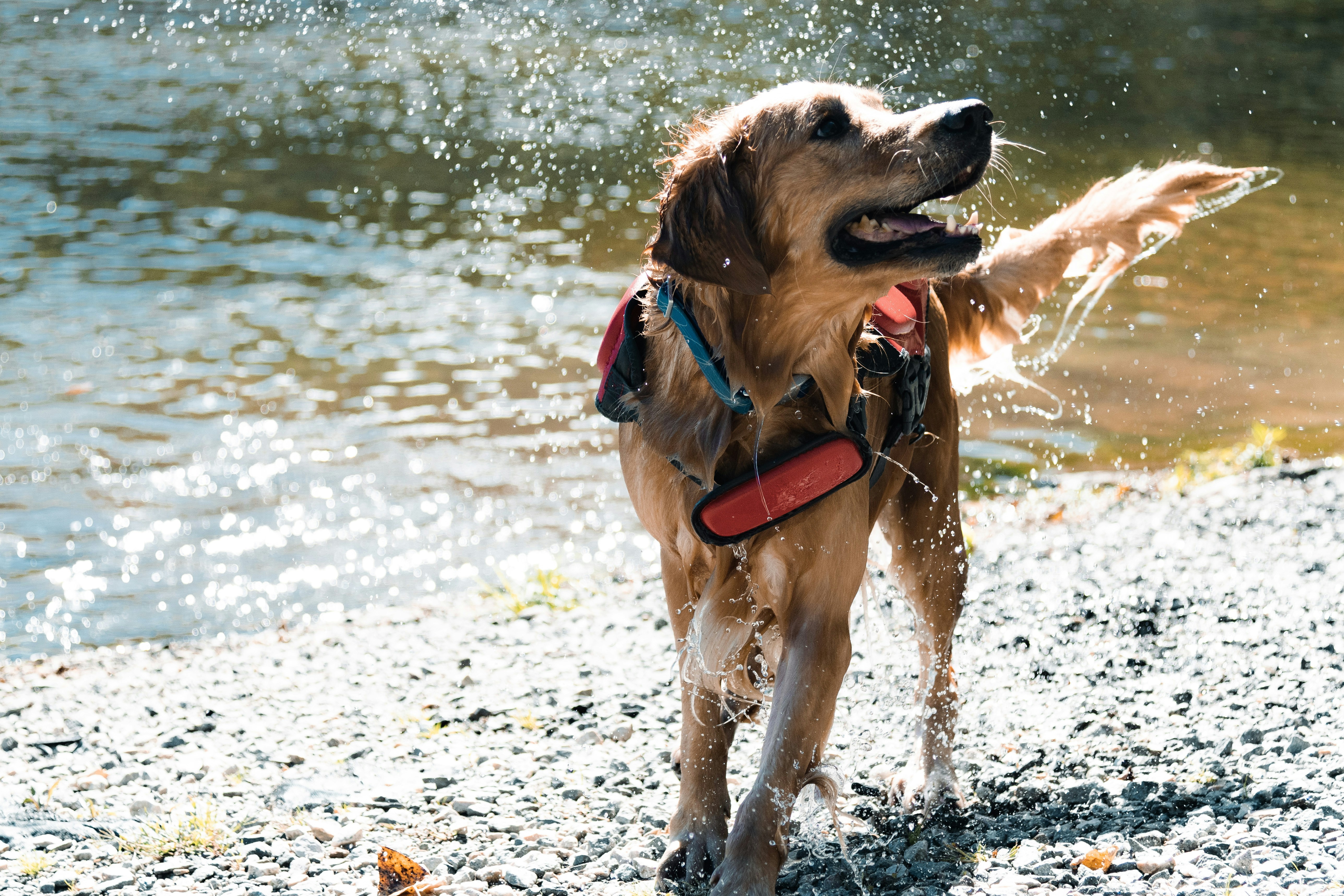 Photo by johnell_pannell