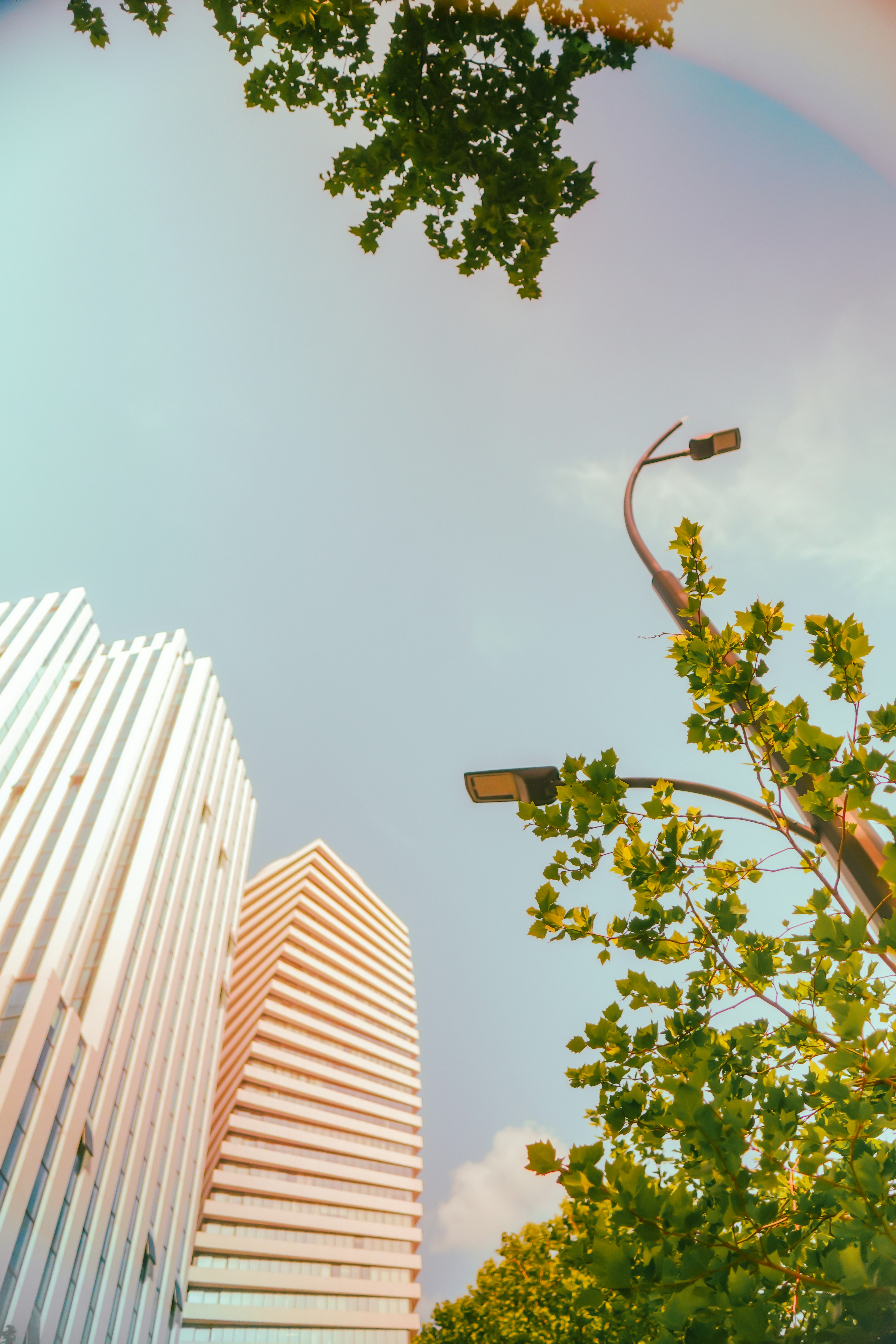 A rainbow is seen in the sky over a city