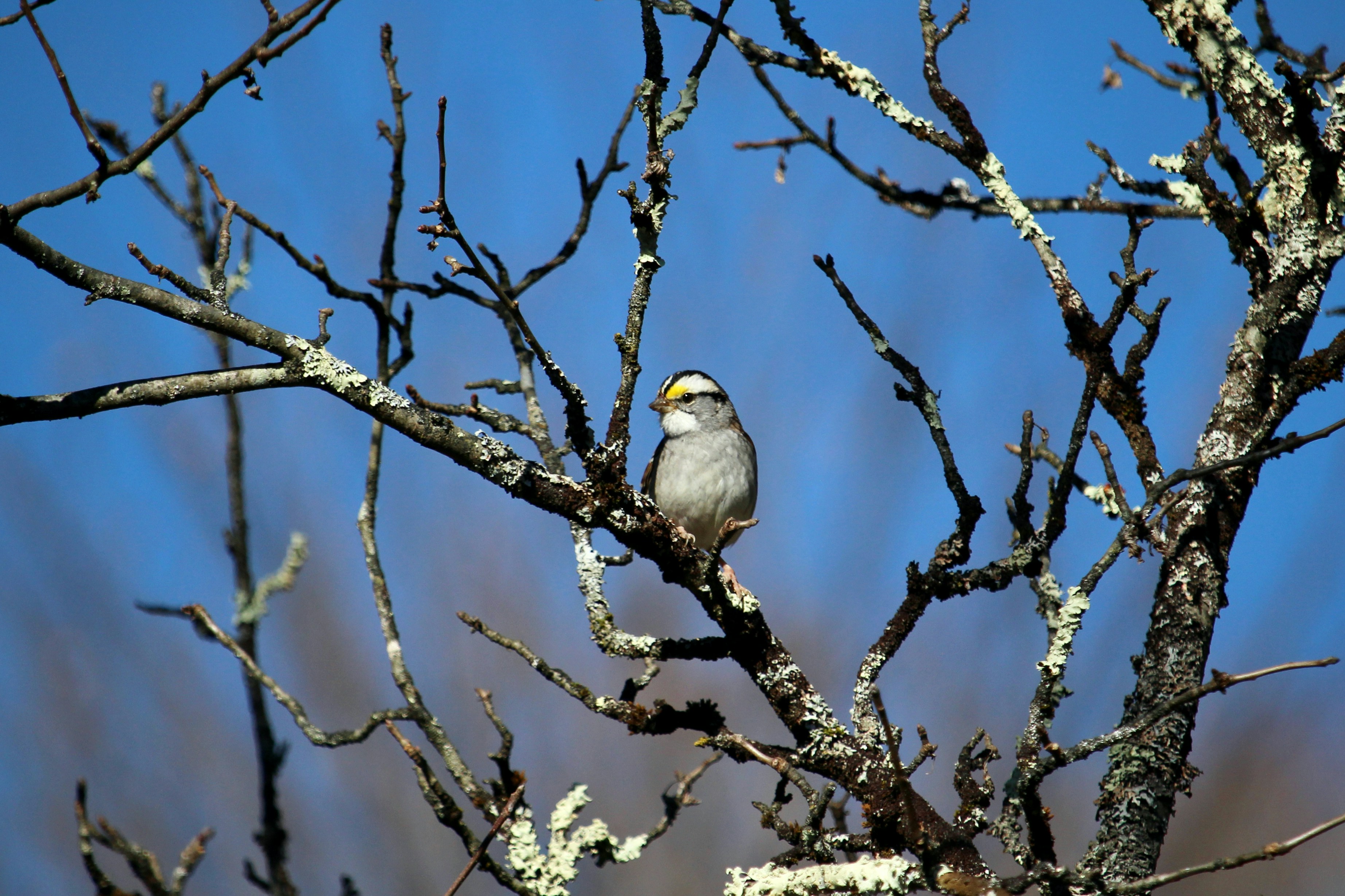 Photo by cecilemousist