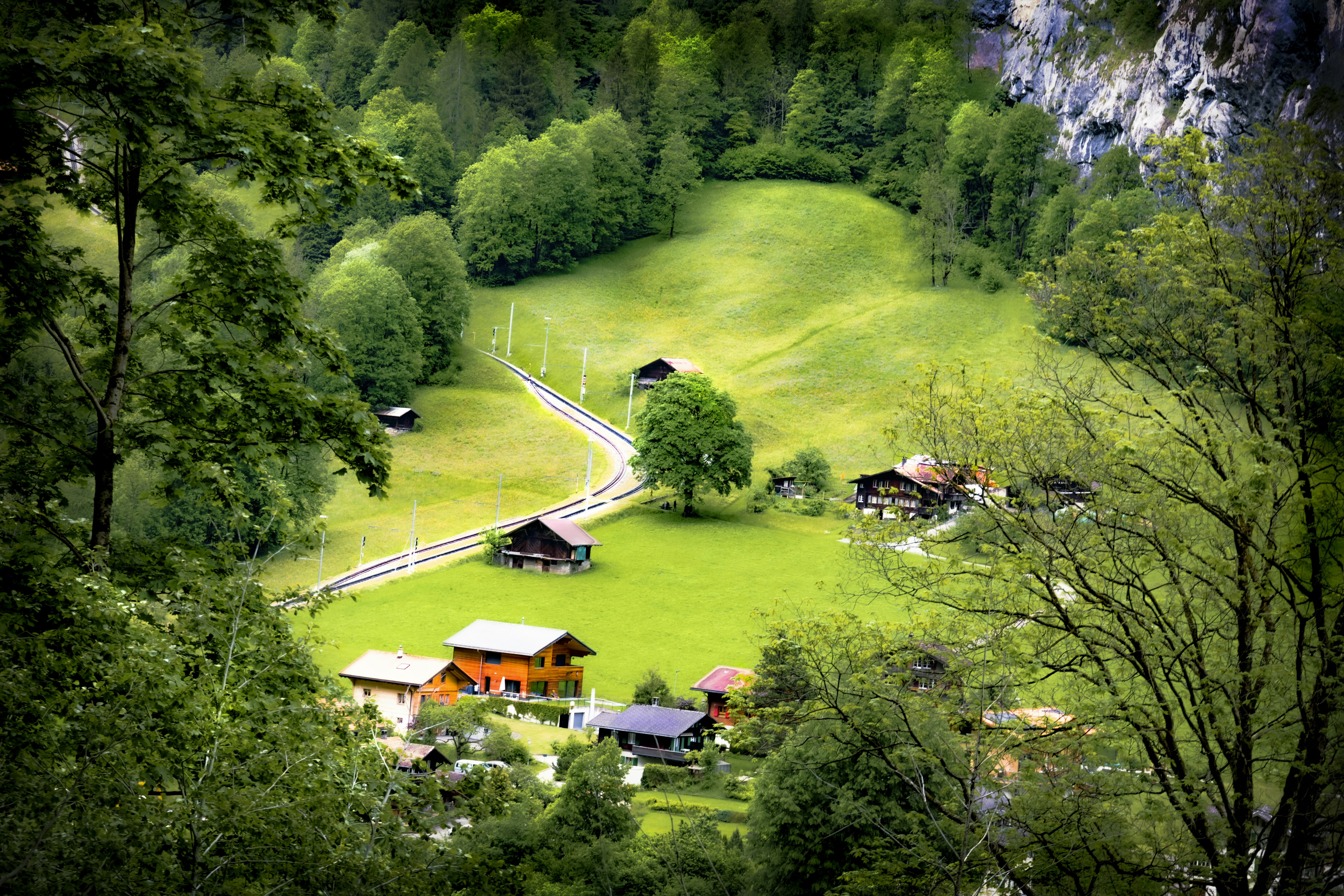 Photo by gabyfishmanfosbery