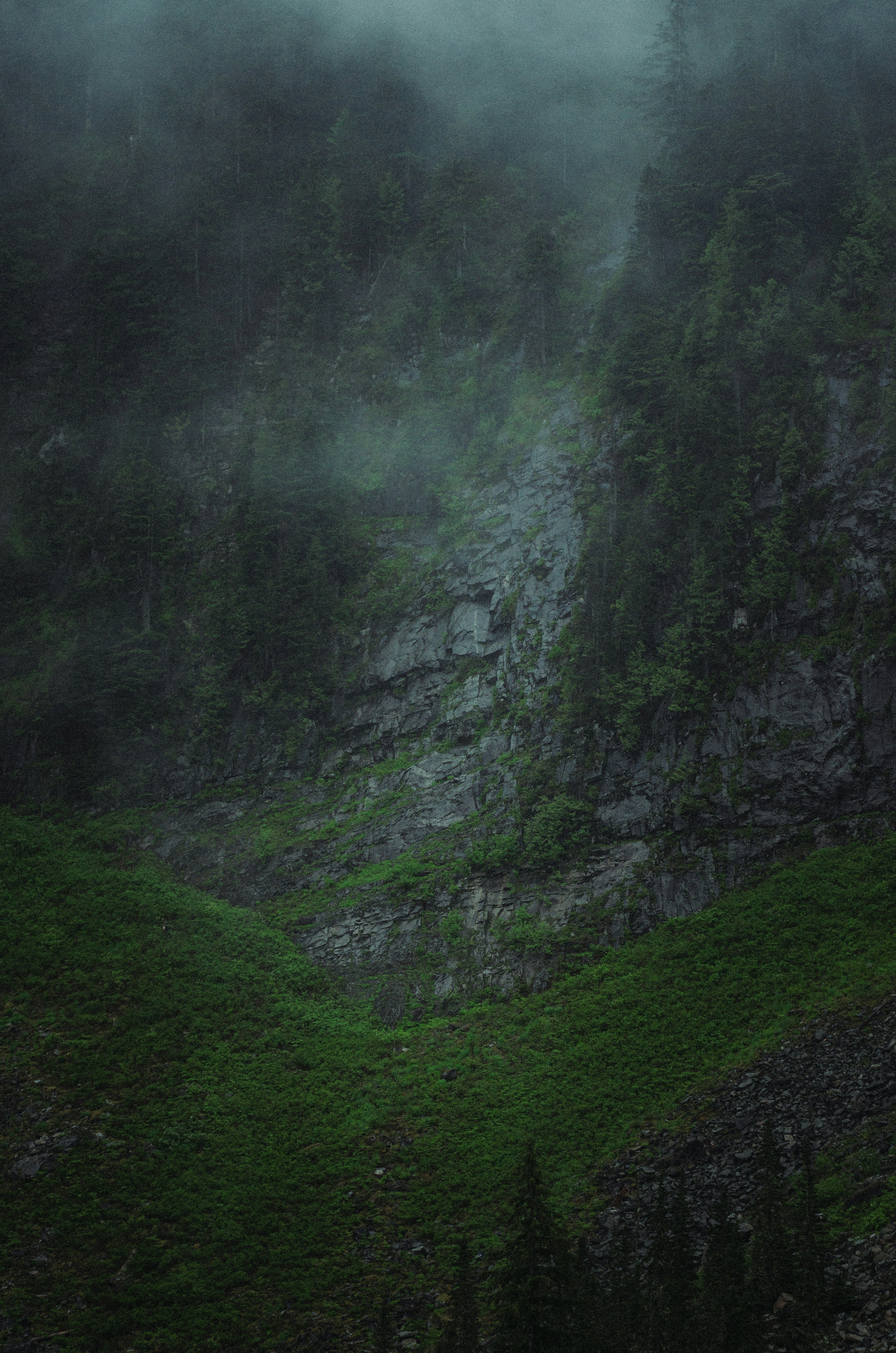 Photo by quinnaebiphoto