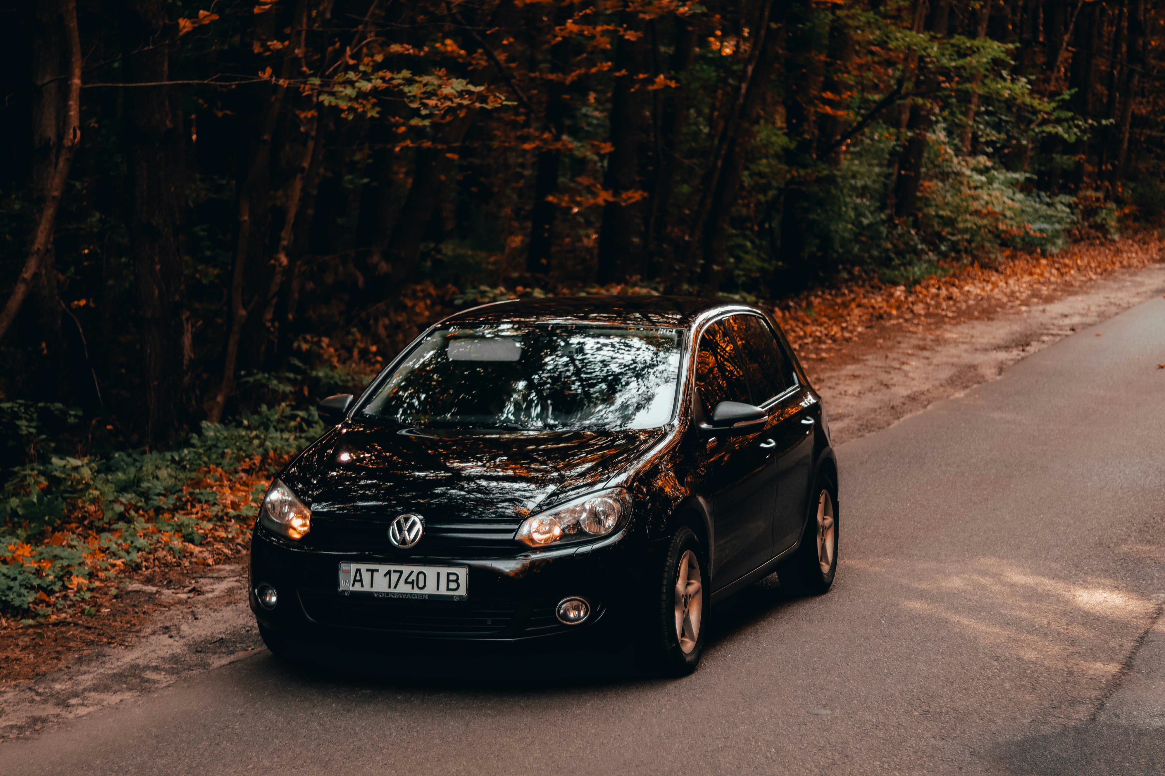 A car driving down a road next to a forest