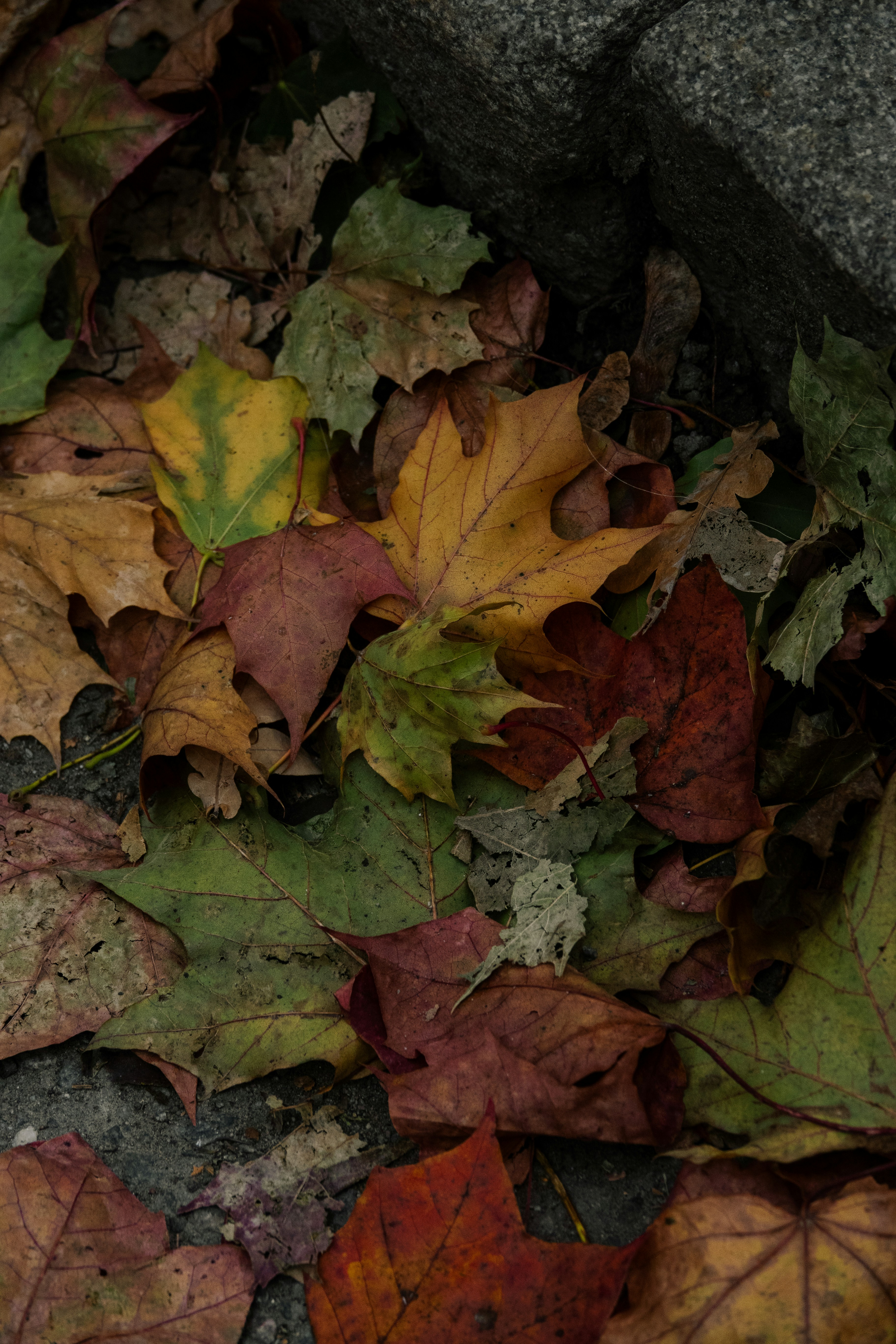 Photo by joylynn_goh