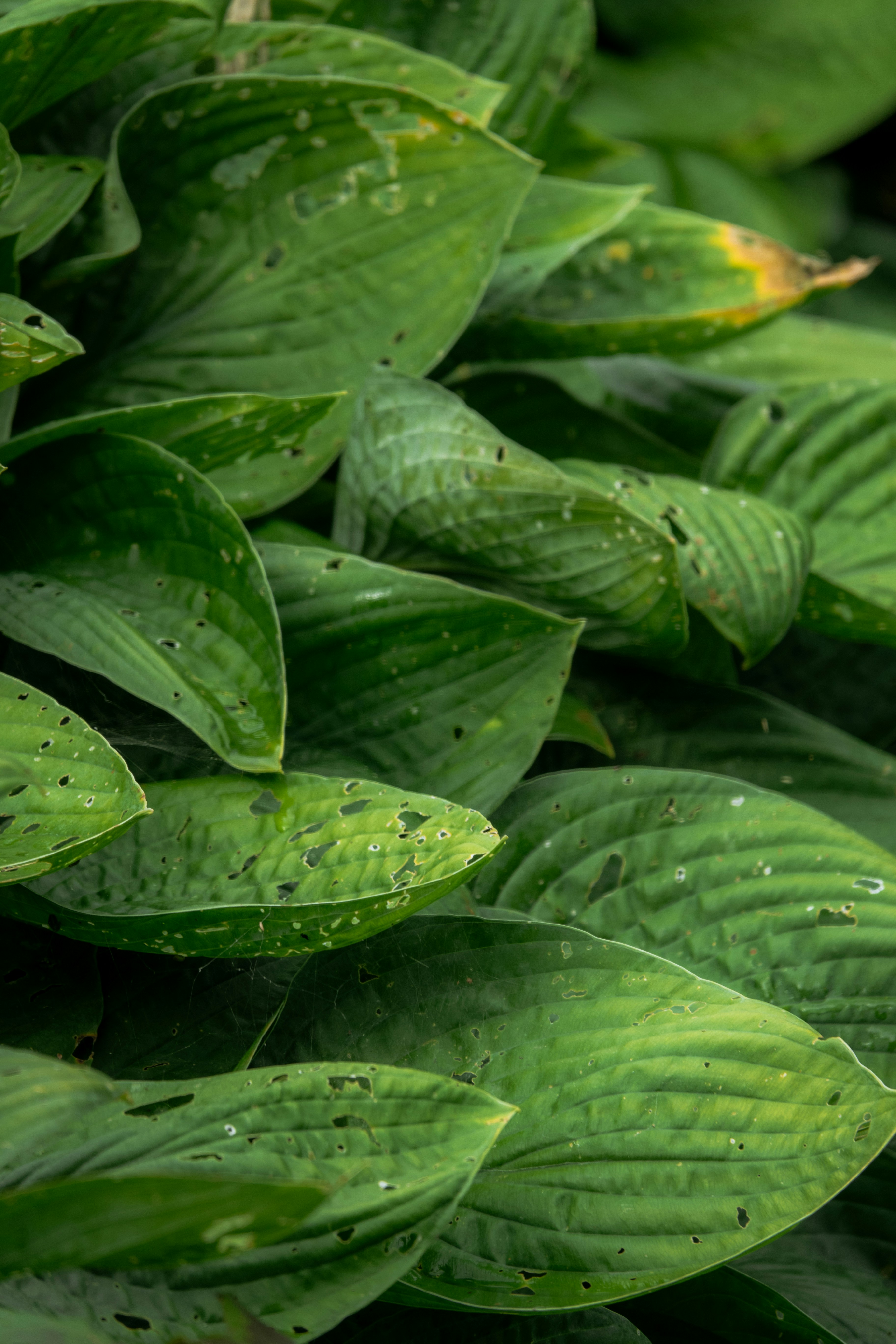 Photo by joylynn_goh