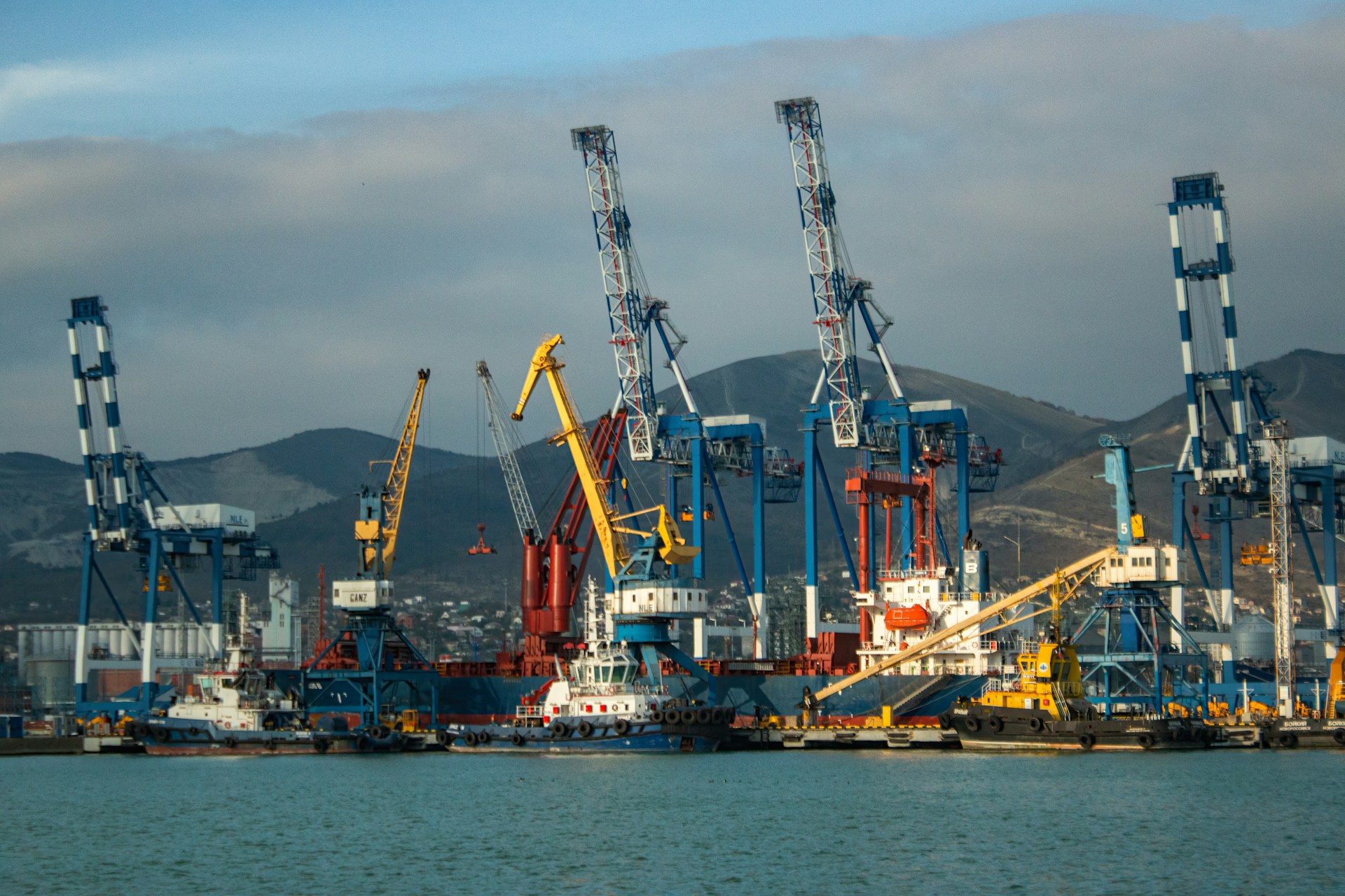 A harbor filled with lots of large cranes