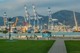 A large body of water with lots of cranes in the background