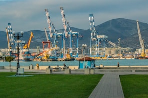 A large body of water with lots of cranes in the background