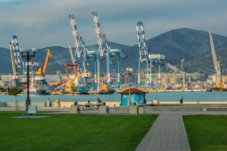A large body of water with lots of cranes in the background