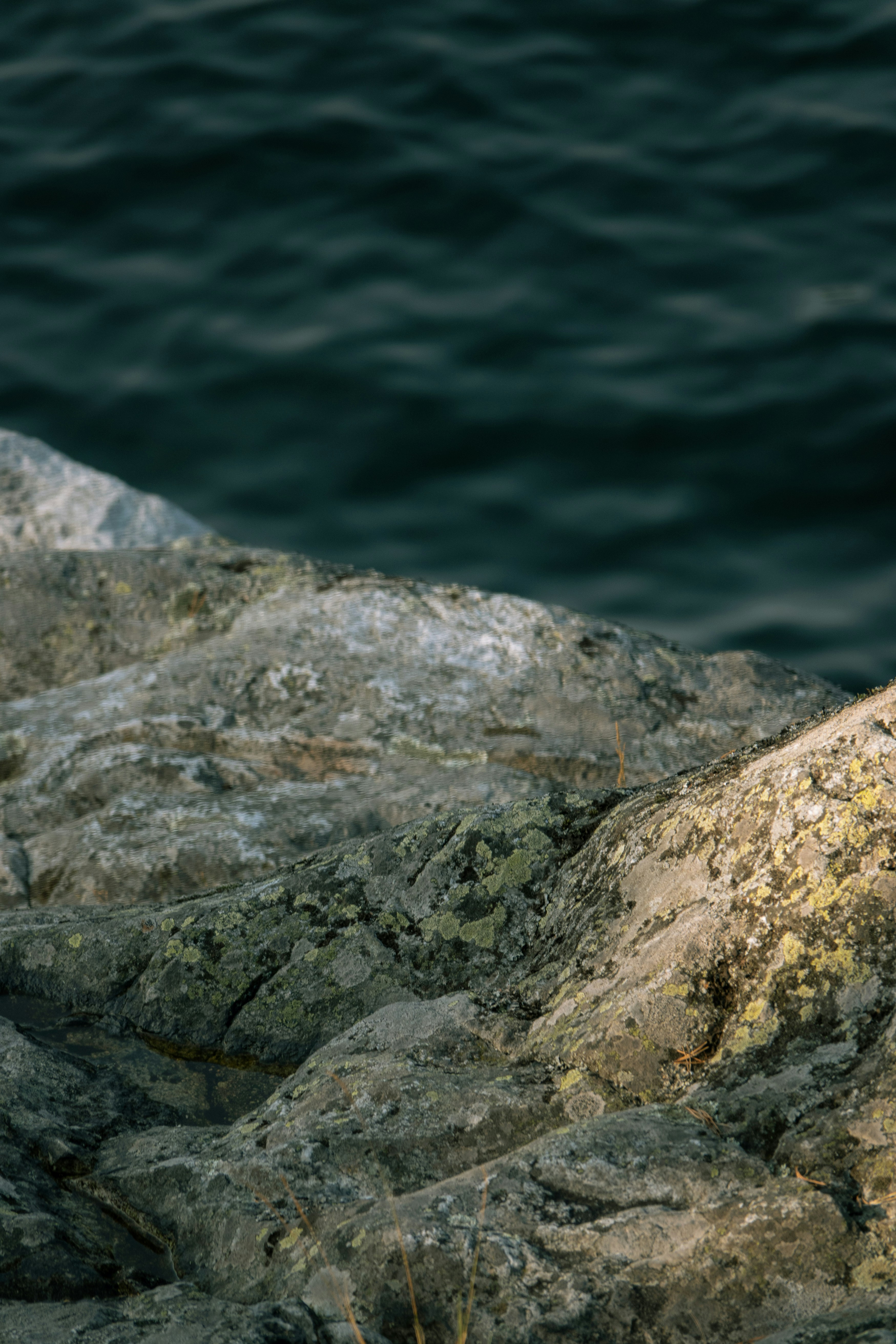 Photo by joylynn_goh