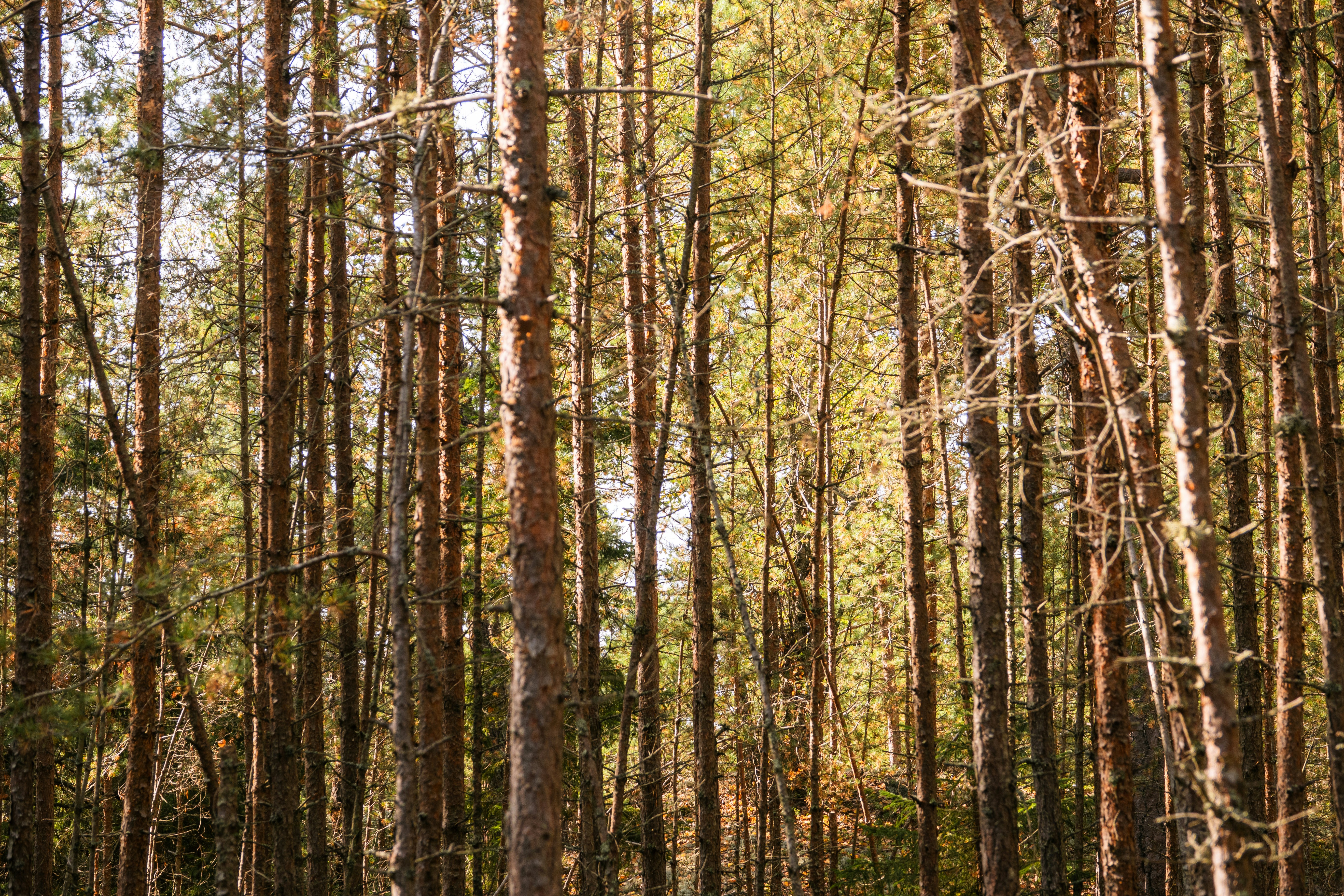 Photo by joylynn_goh