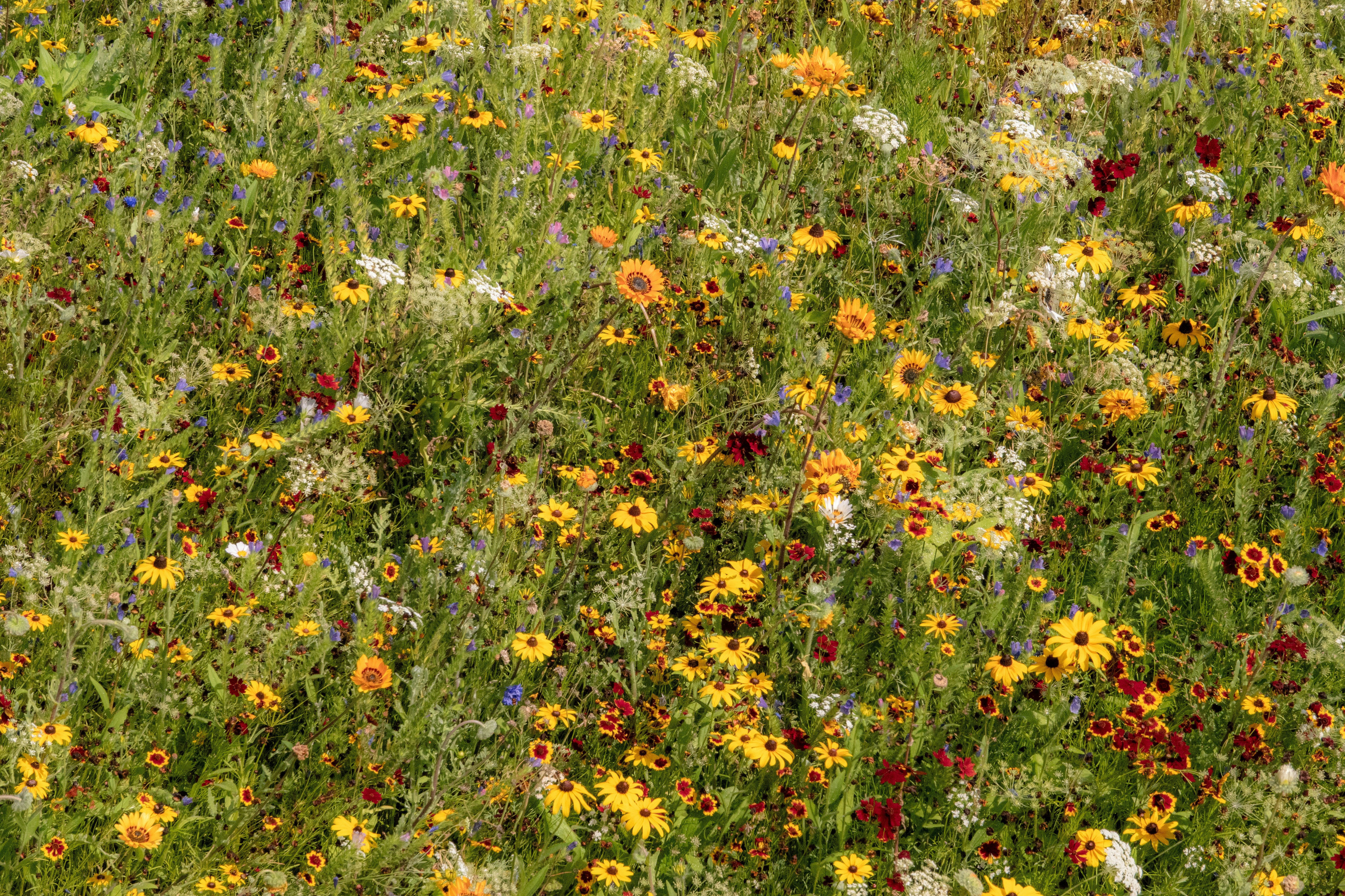 Photo by joylynn_goh