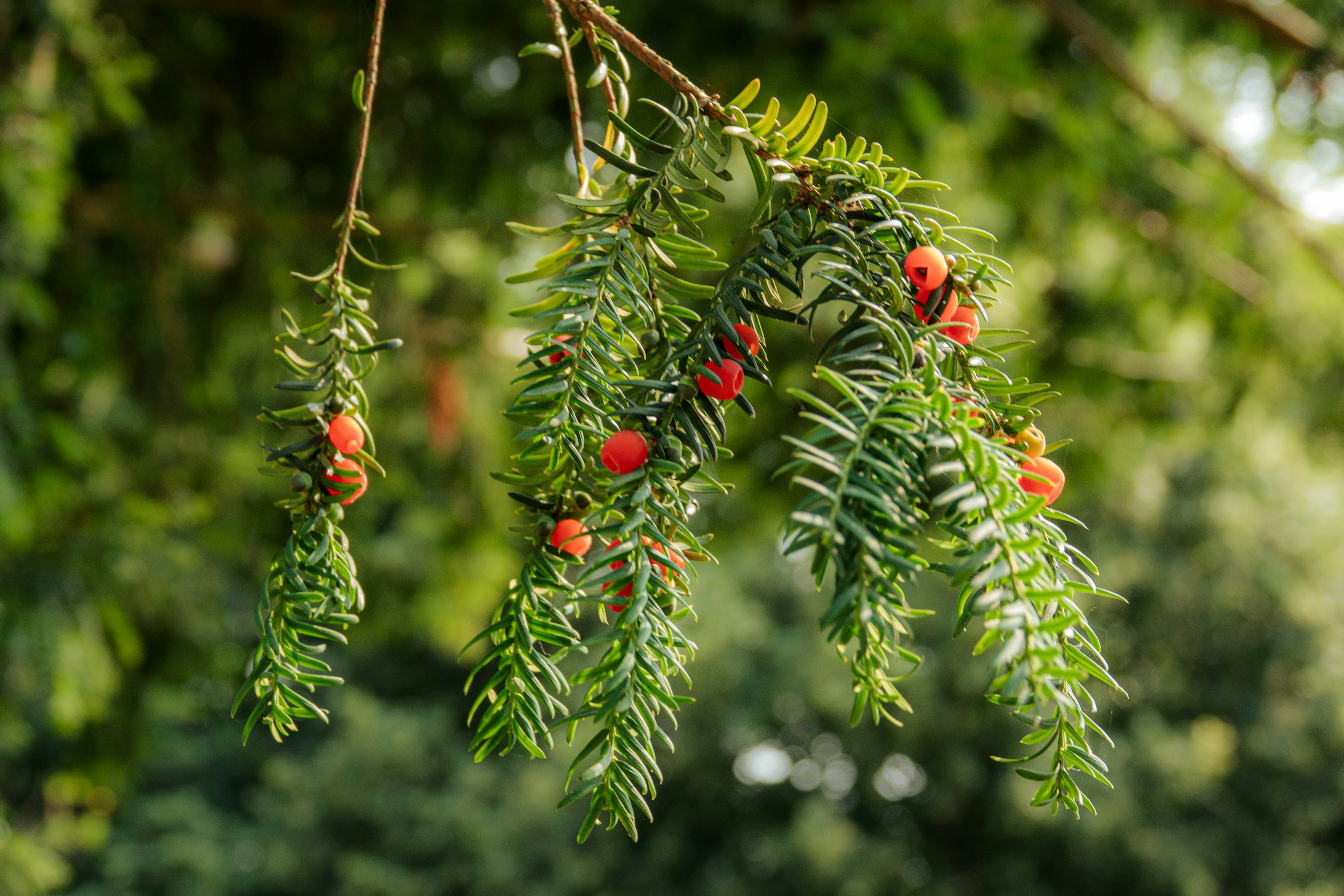 Photo by joylynn_goh