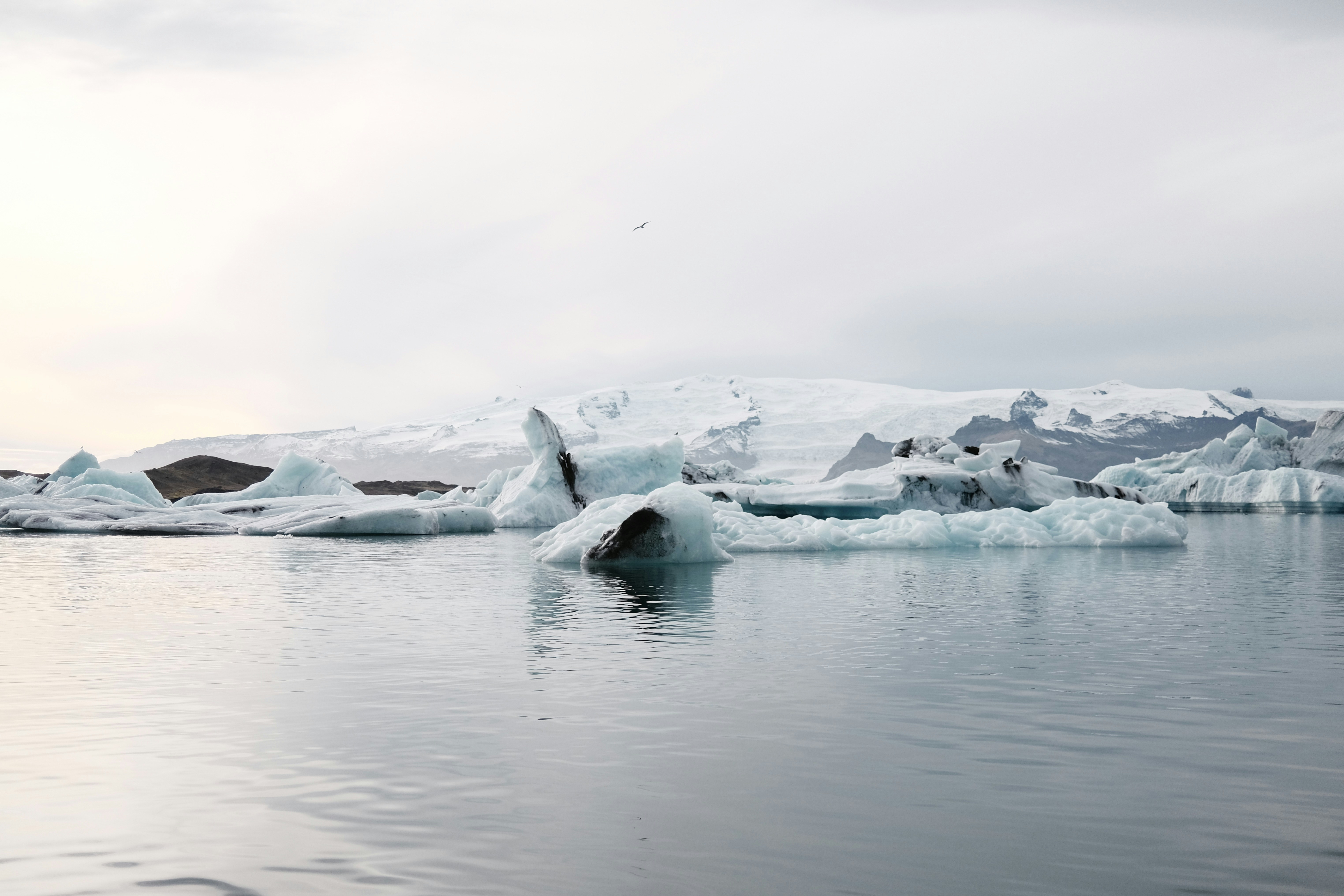 Photo by sdysywjelwsw