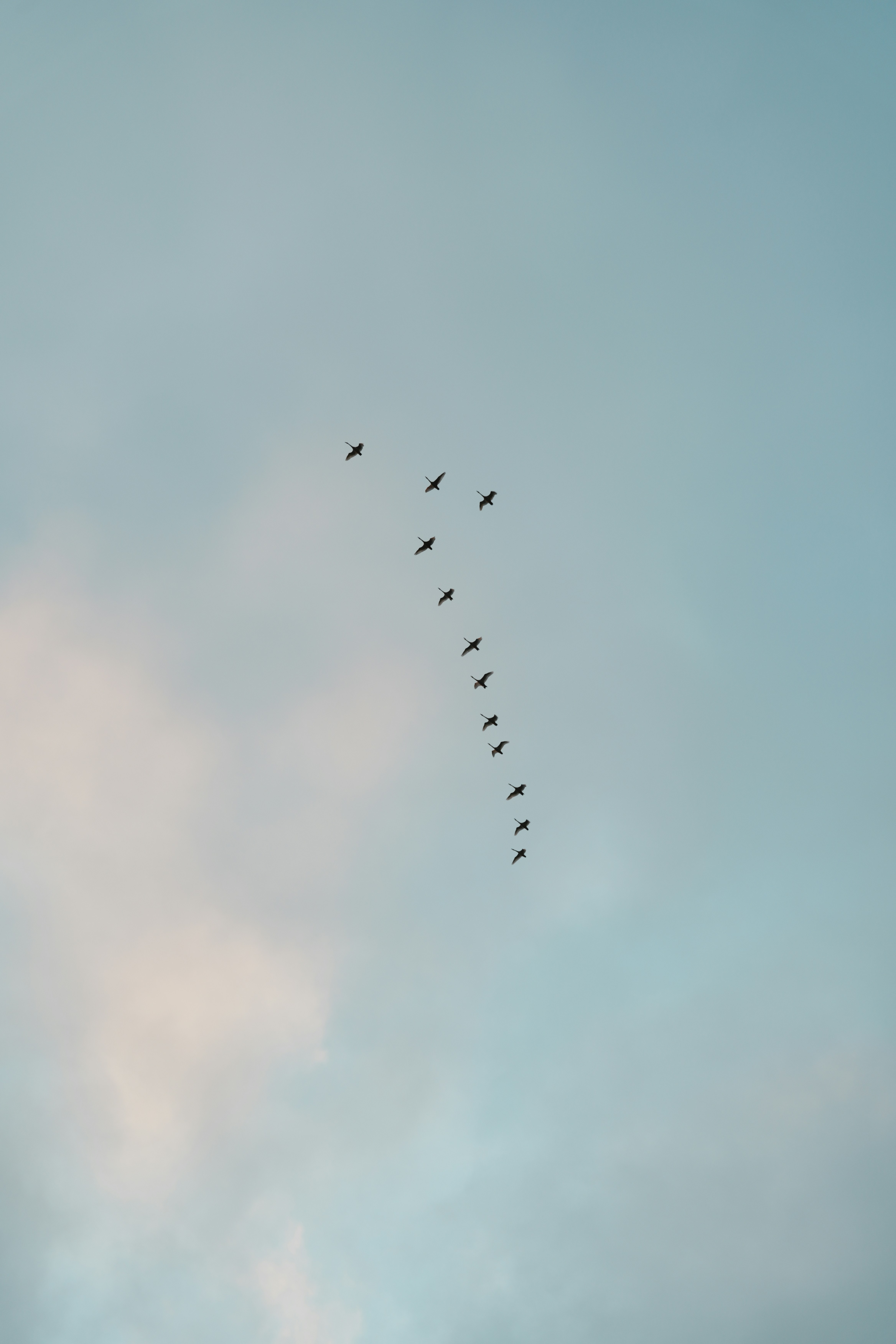 Photo by sdysywjelwsw