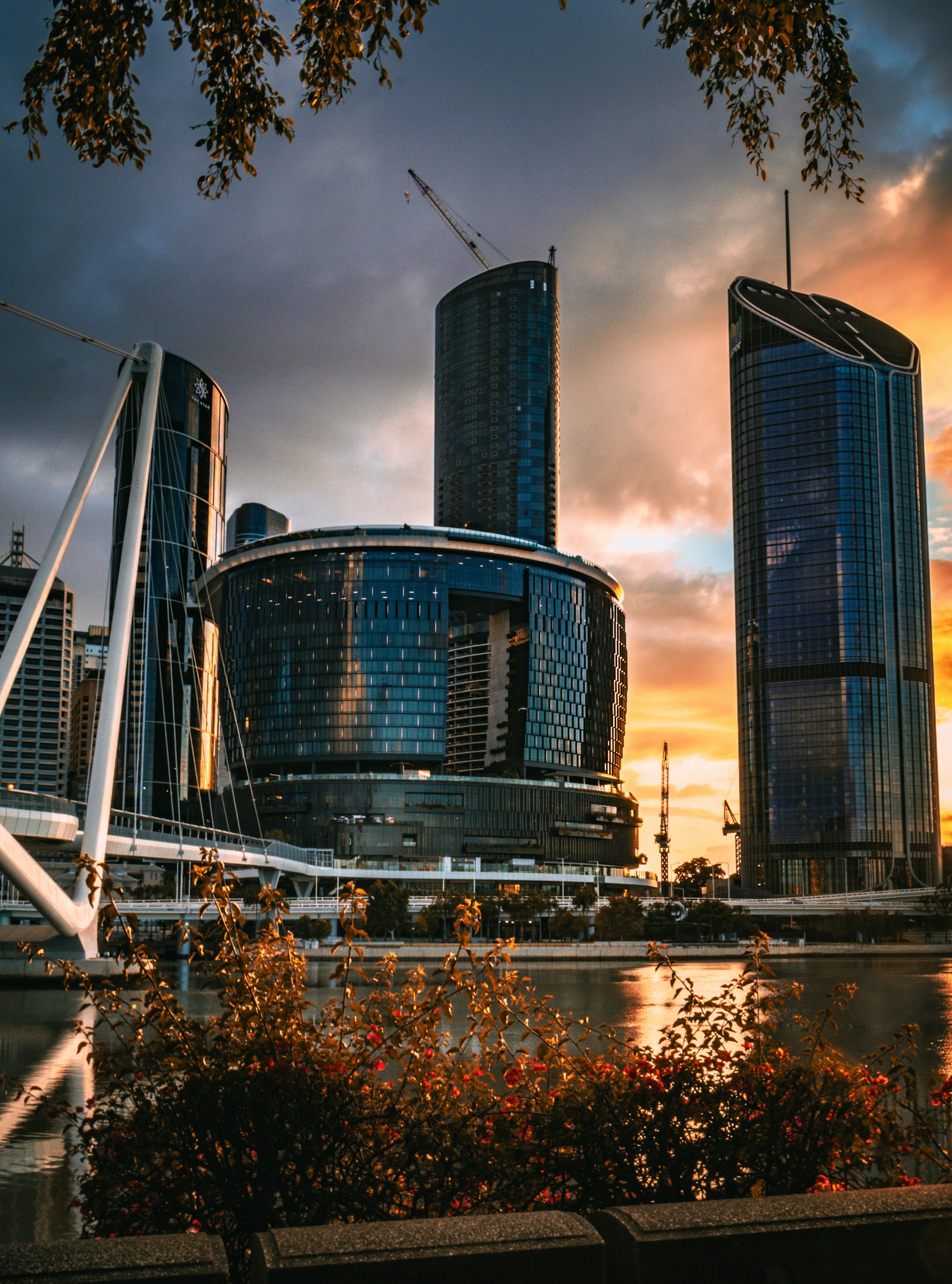 A view of a city with tall buildings