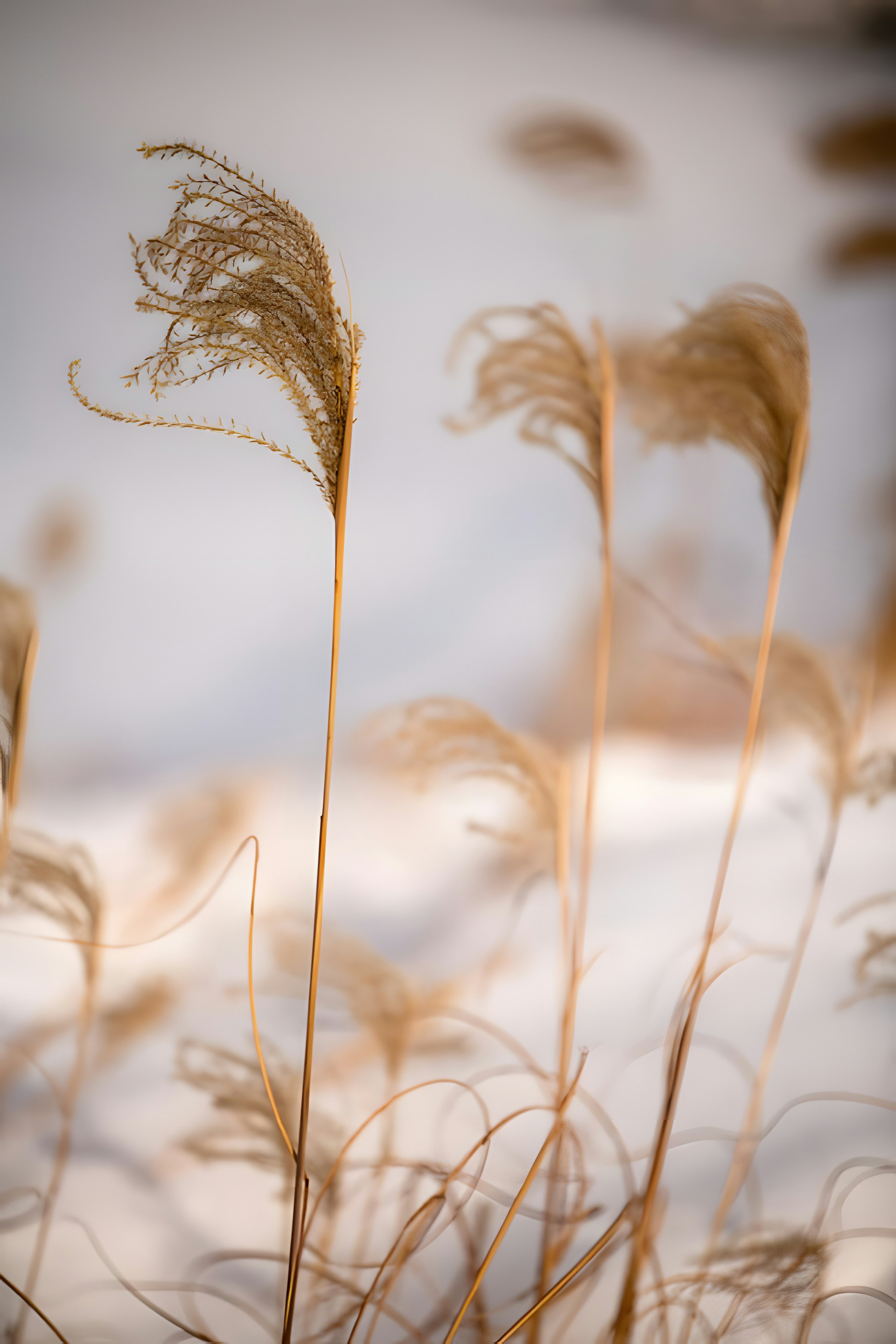 Photo by damiencampbell