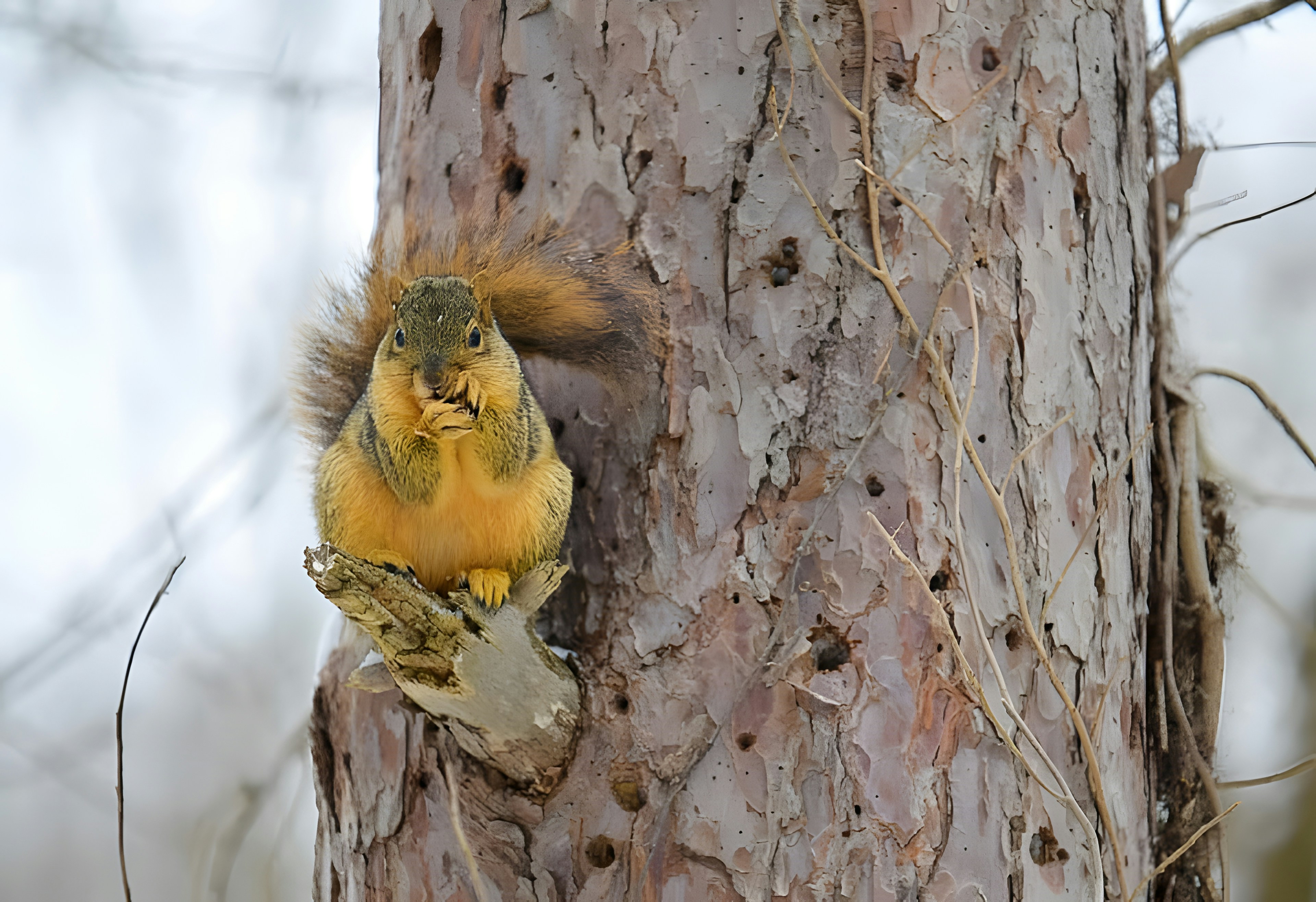 Photo by damiencampbell