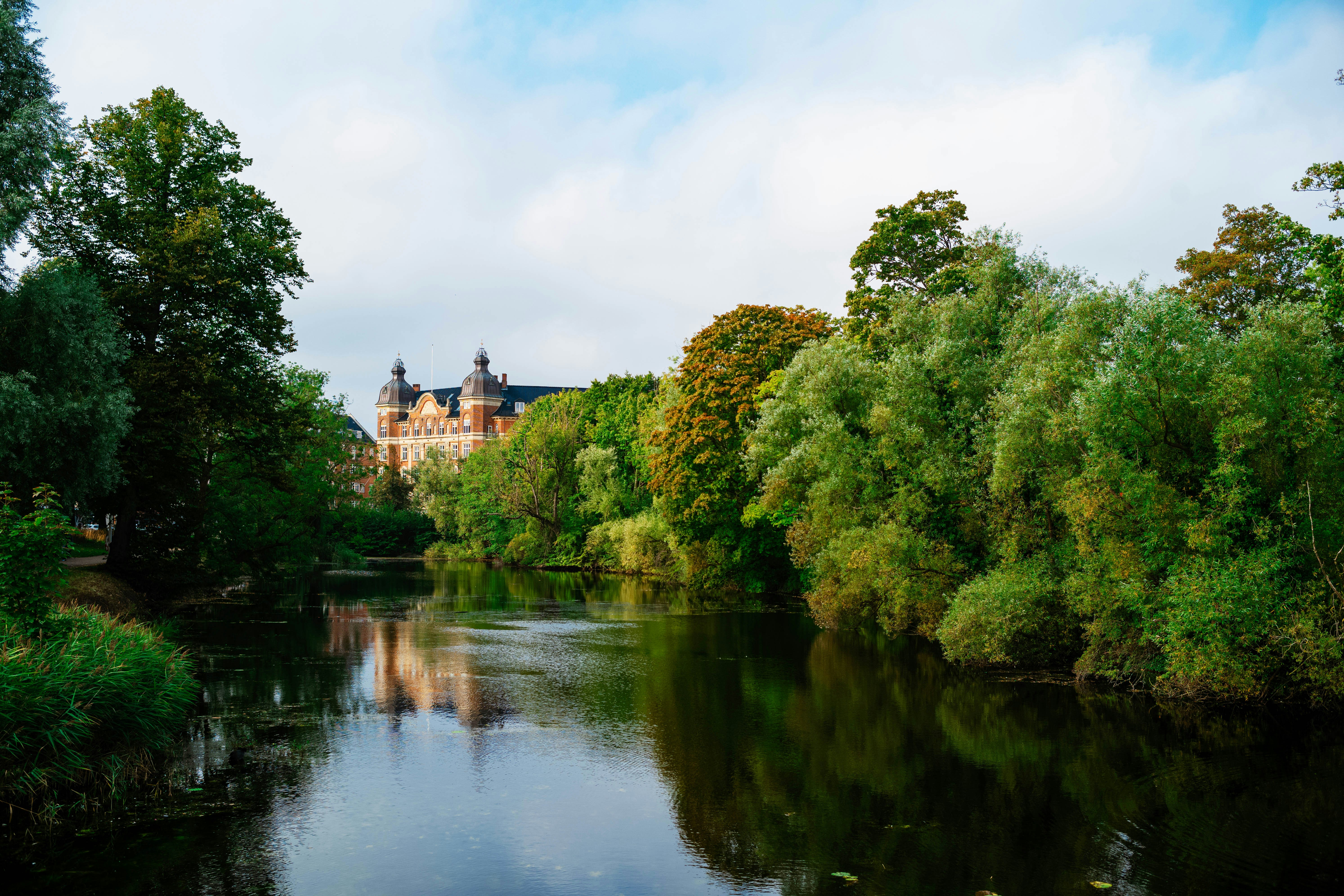 Photo by tommaomaoer