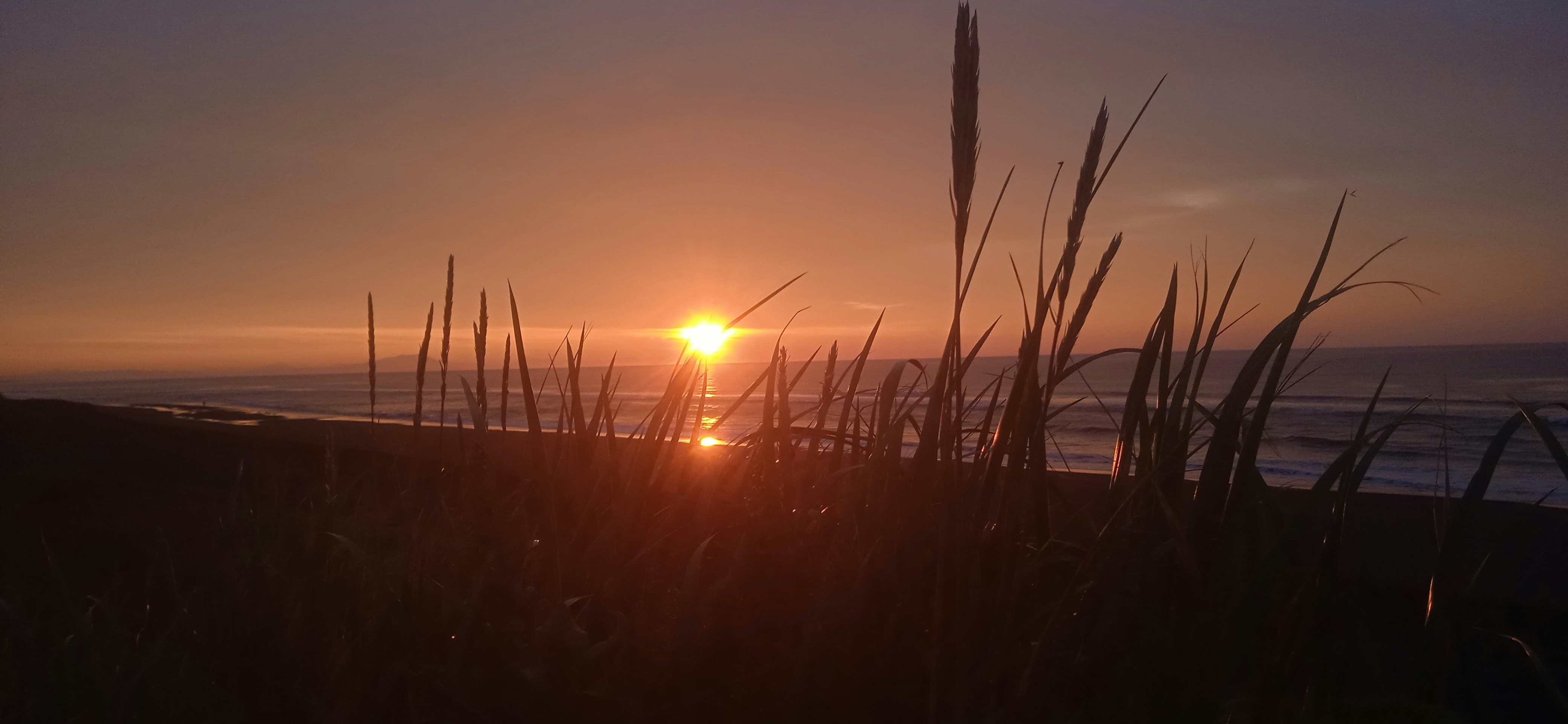 Photo by kuperdmitry