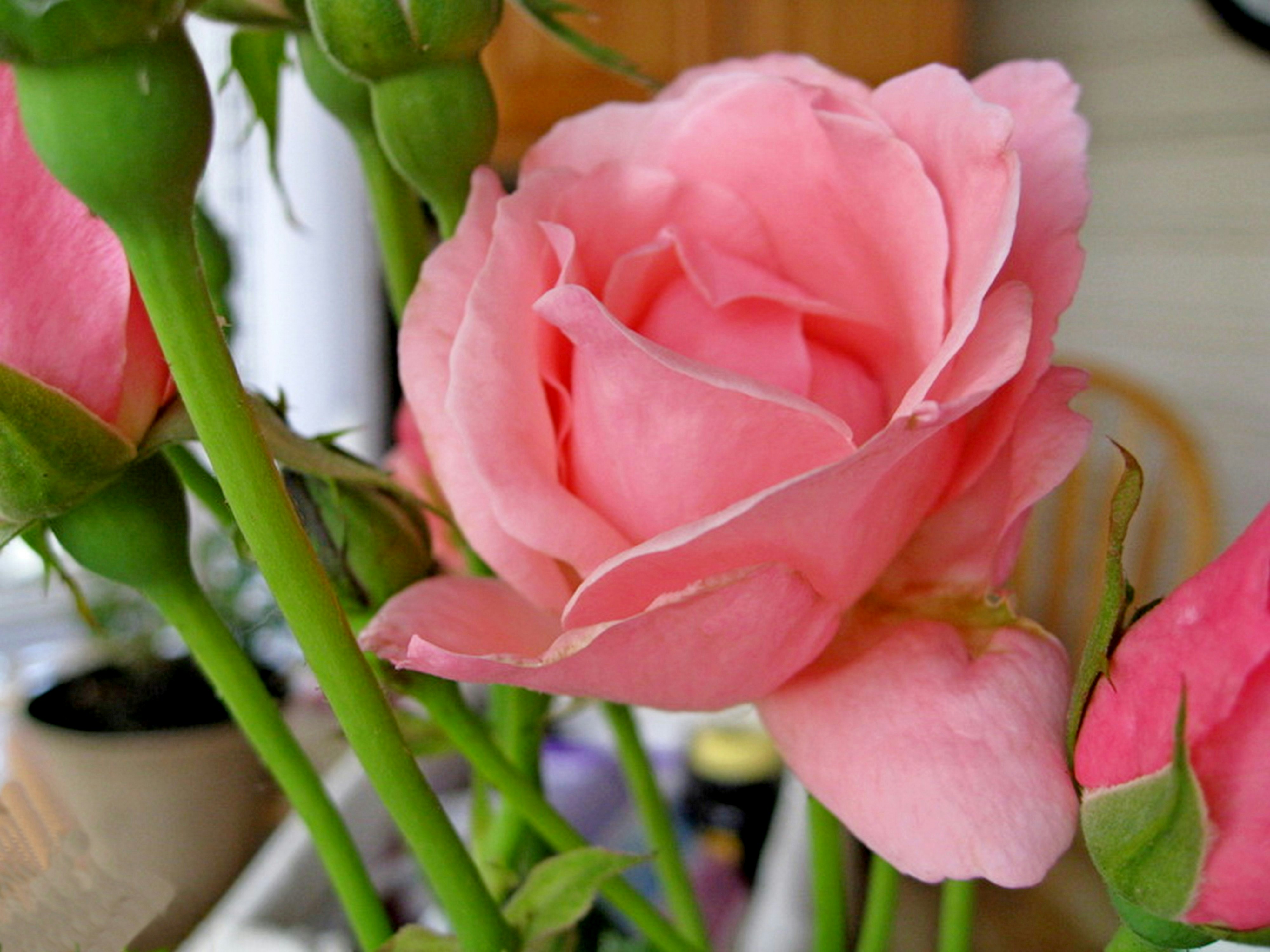 Photo by craazyquilt