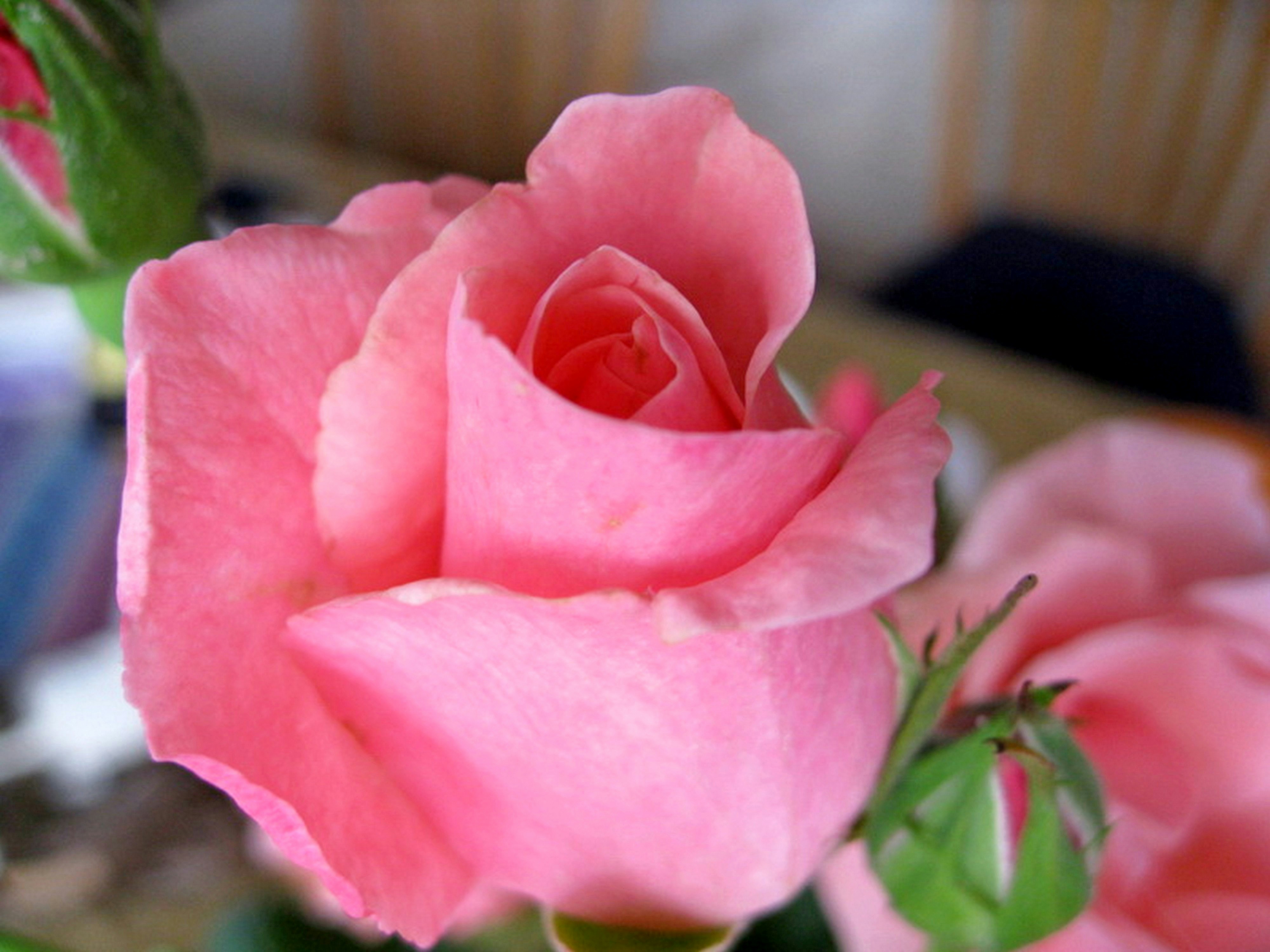 Photo by craazyquilt