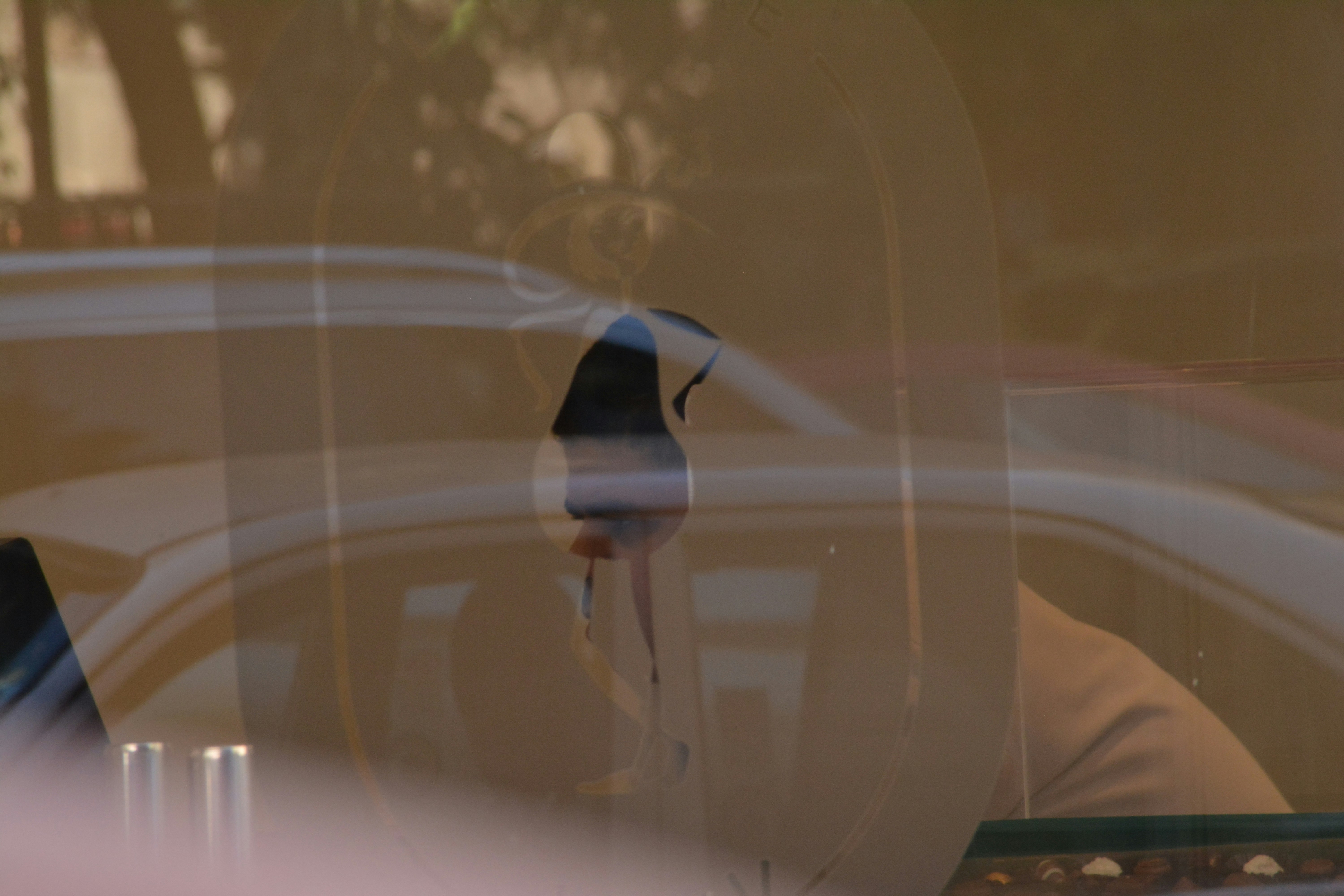 Photo by yassindawoud