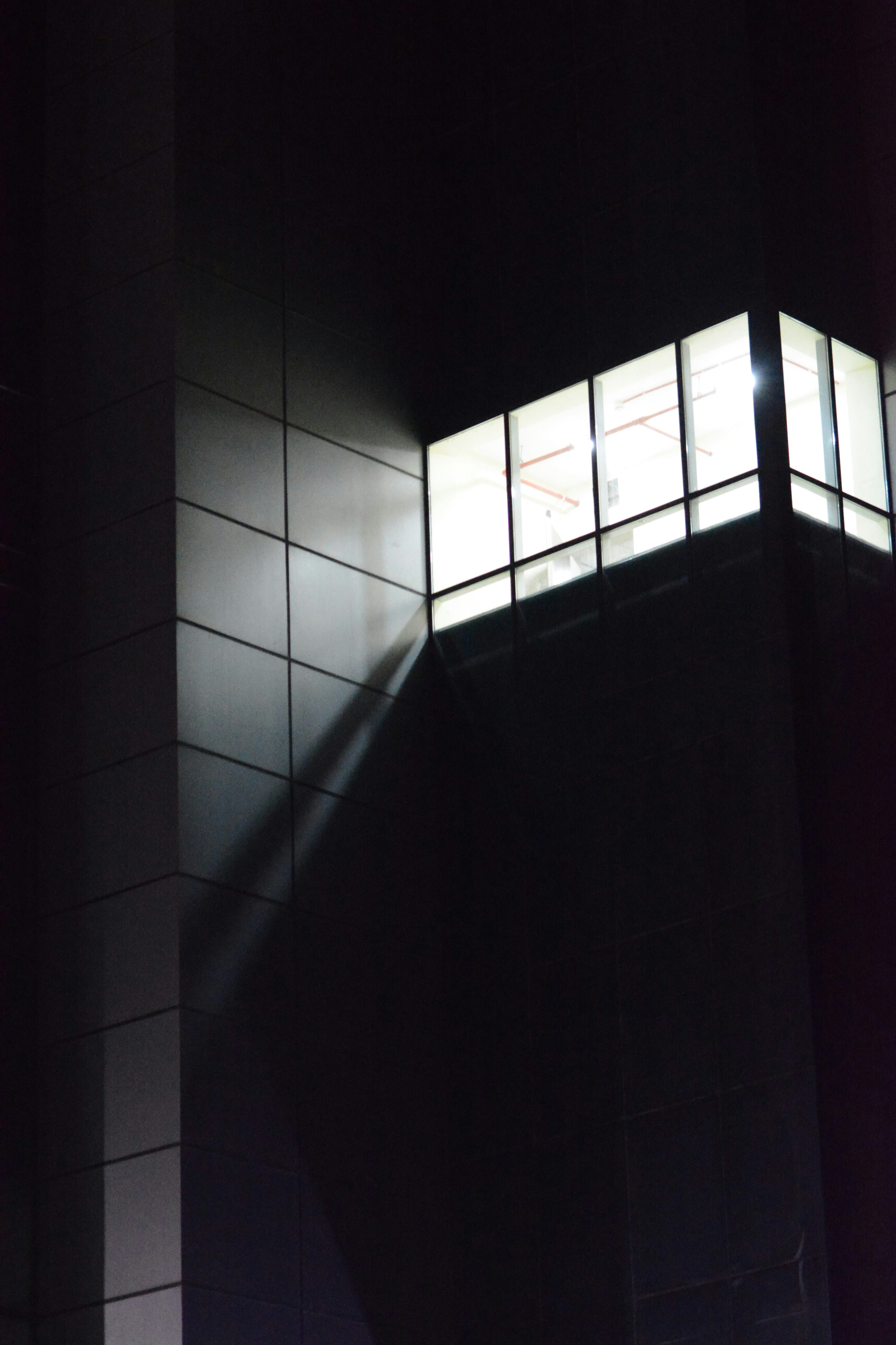 Photo by yassindawoud