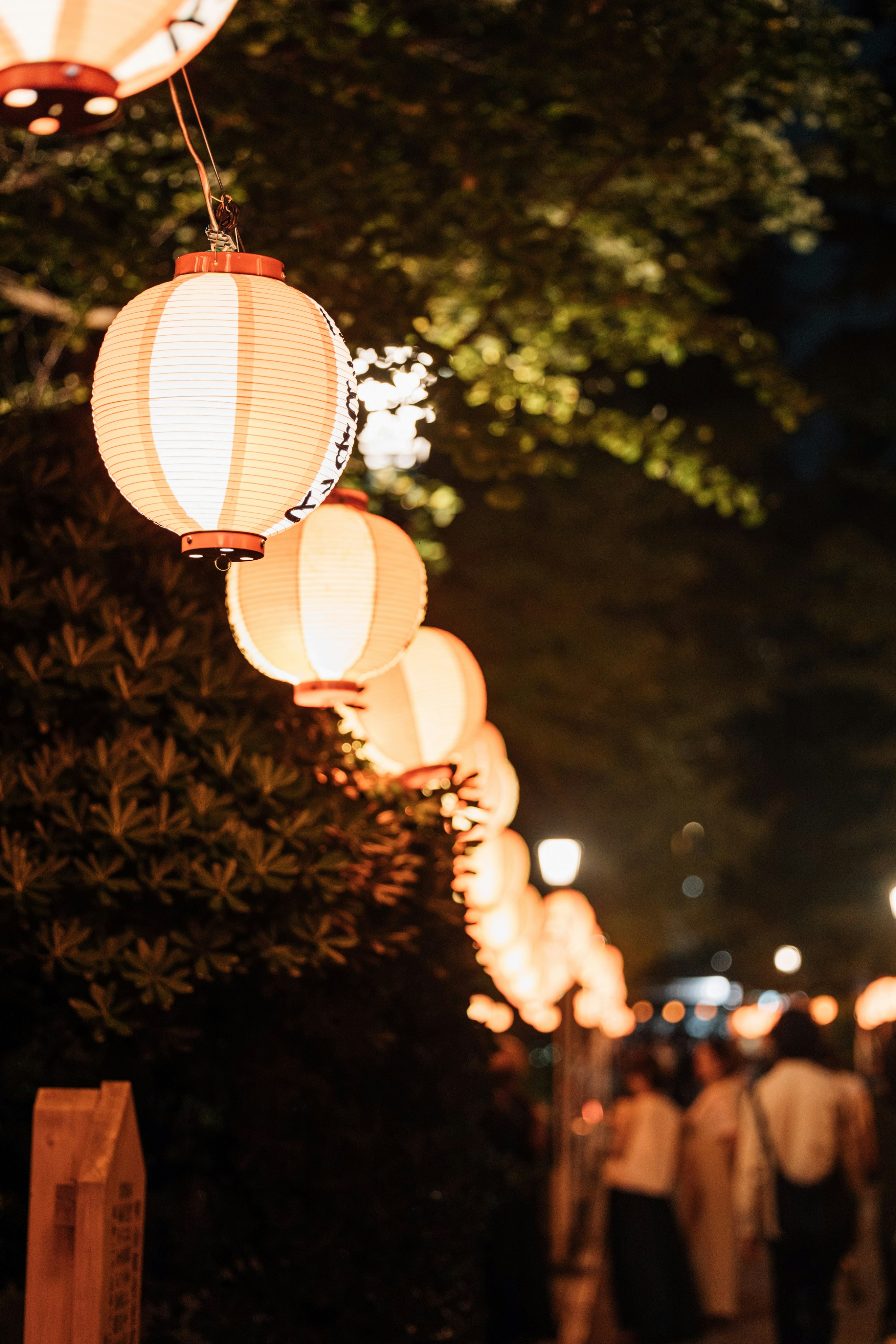 Photo by tsuyoshikozu