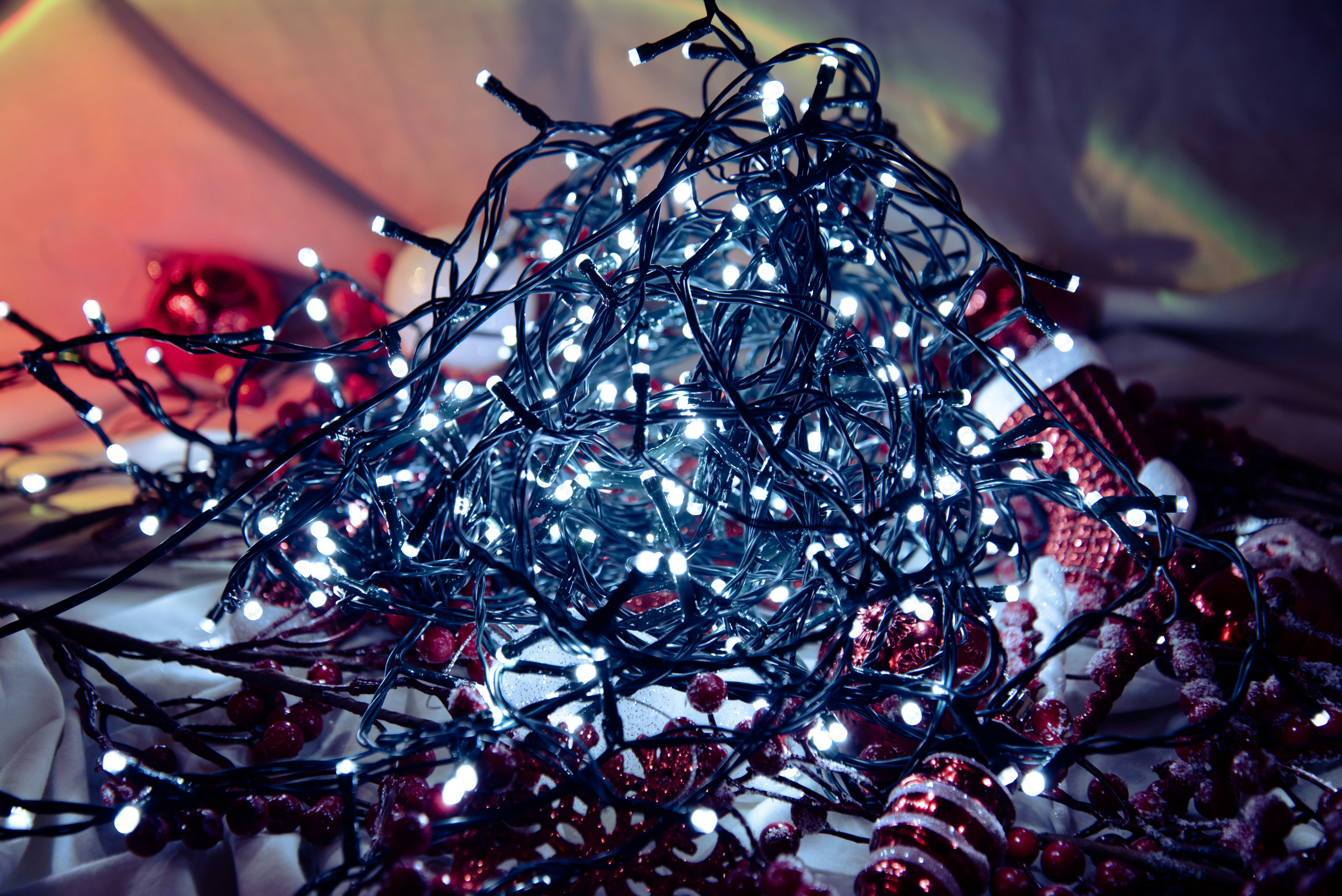 Photo by alphaperspective