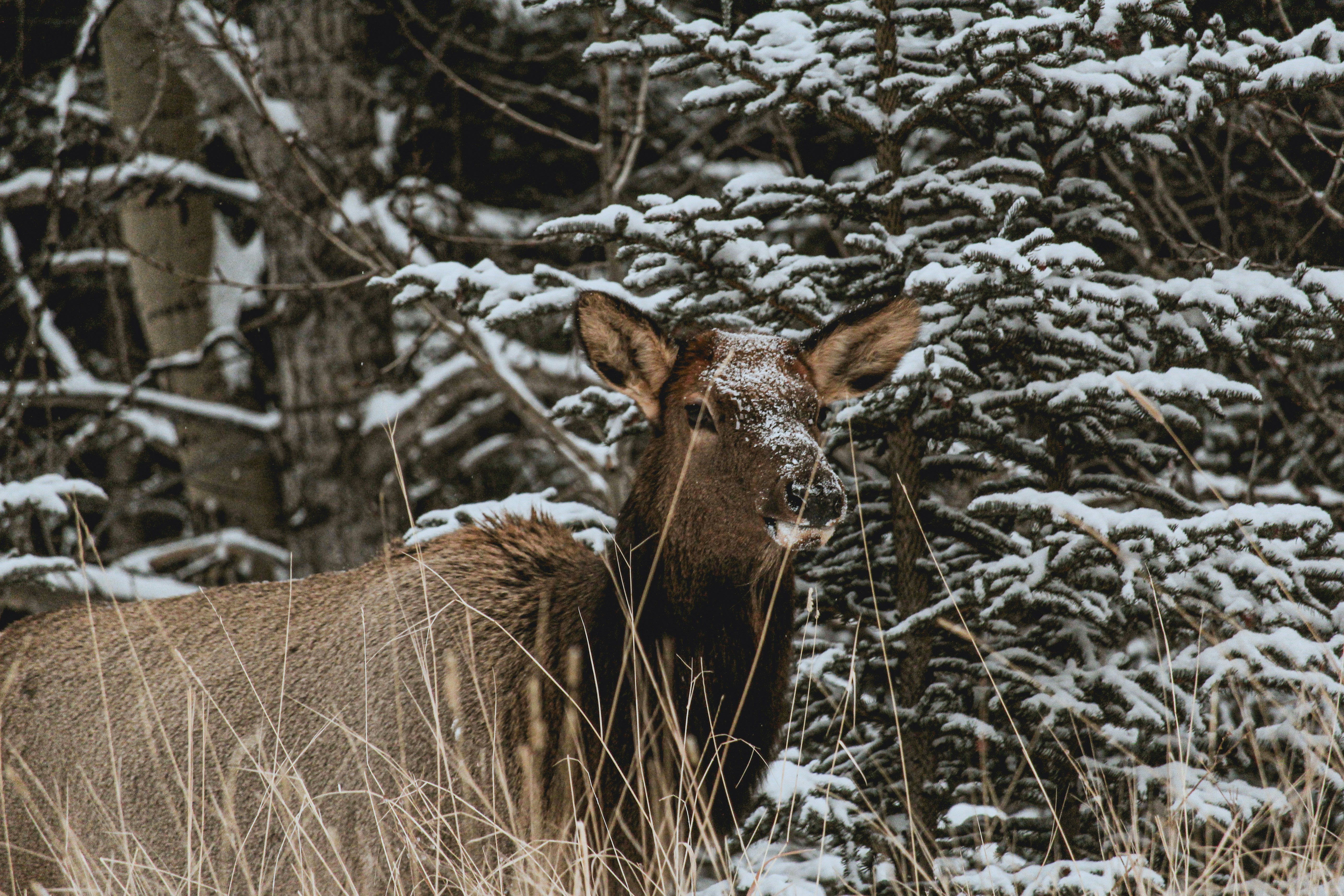 Photo by brysonostepchuk