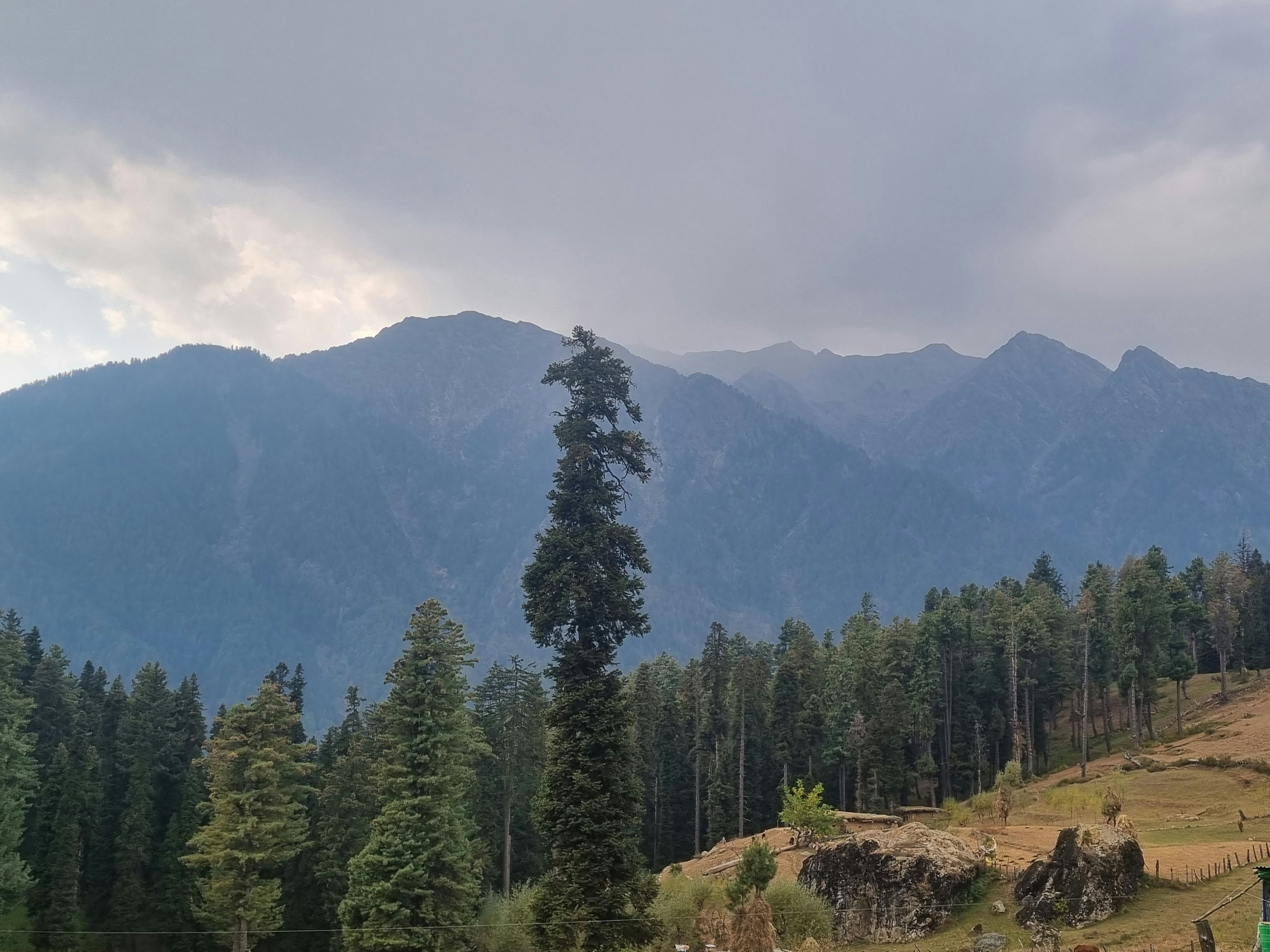 Un gruppo di persone in piedi in cima a una lussureggiante collina verde