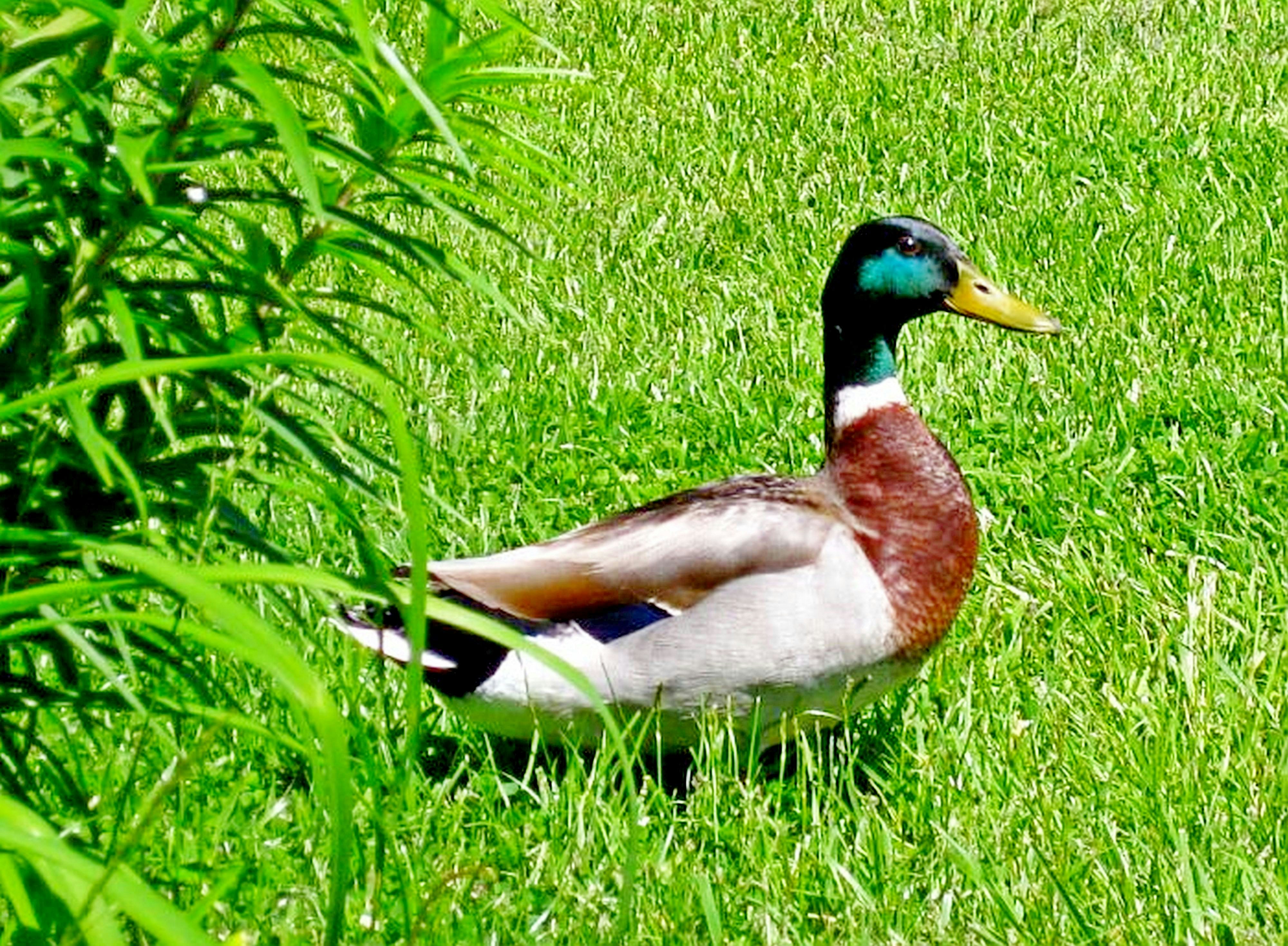 Photo by craazyquilt