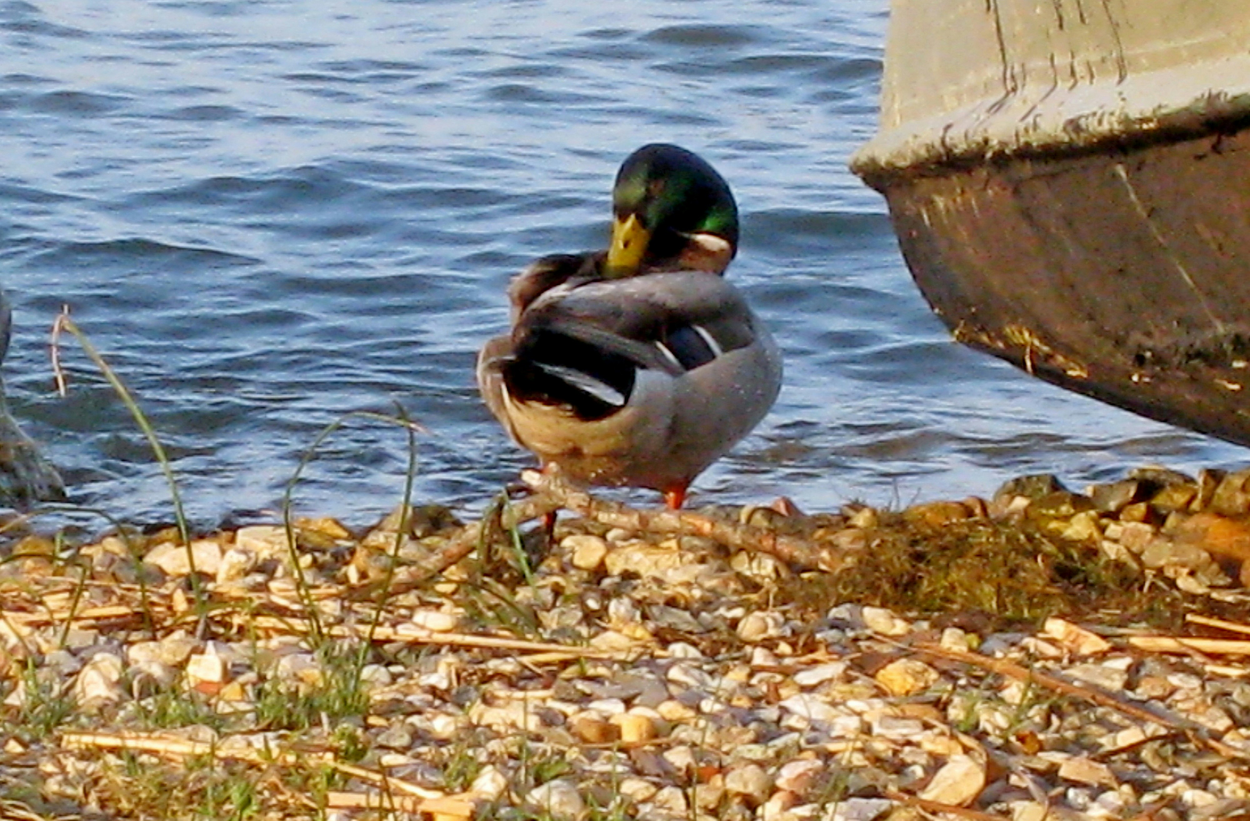 Photo by craazyquilt