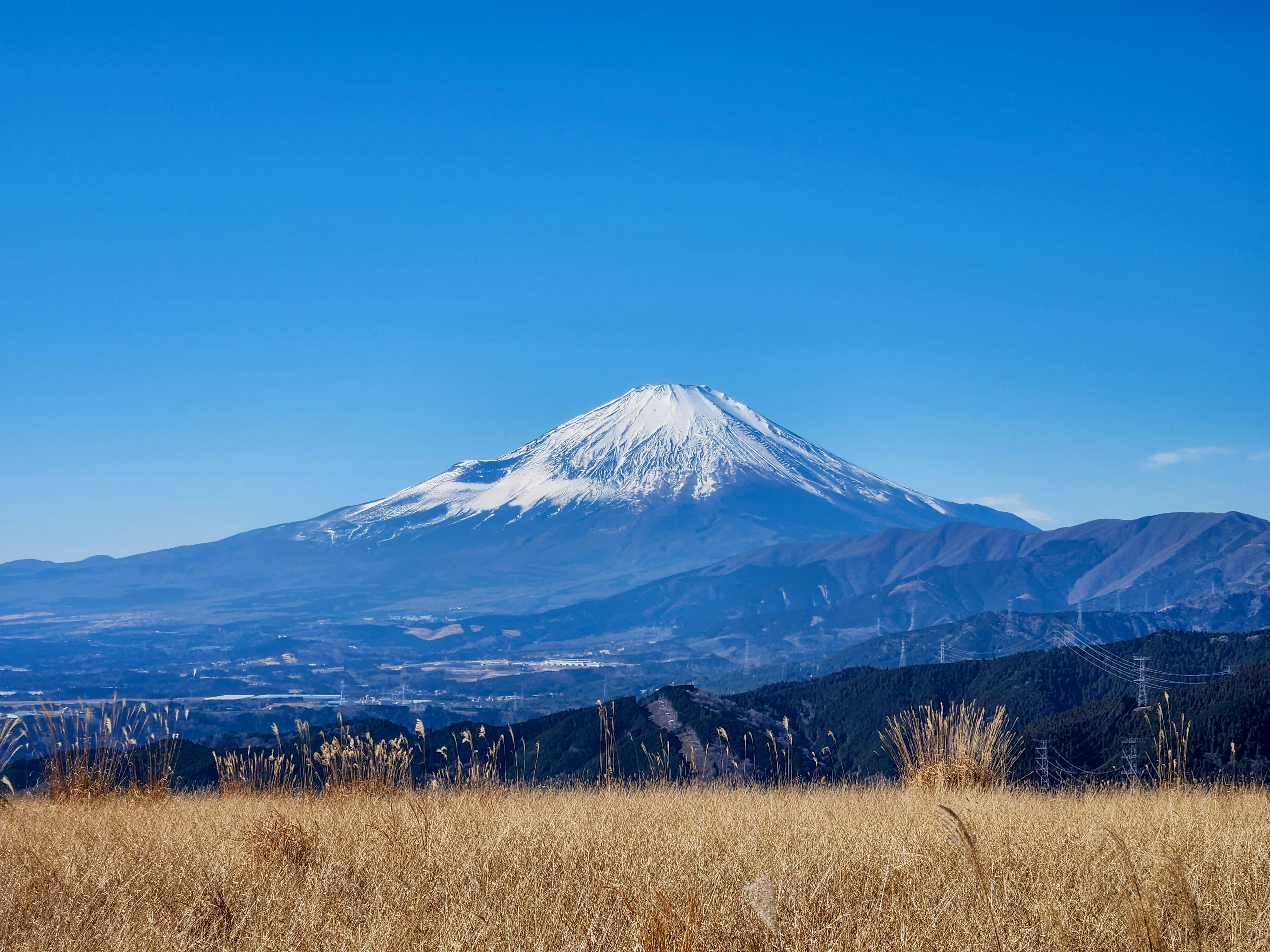 Photo by dsnphotography