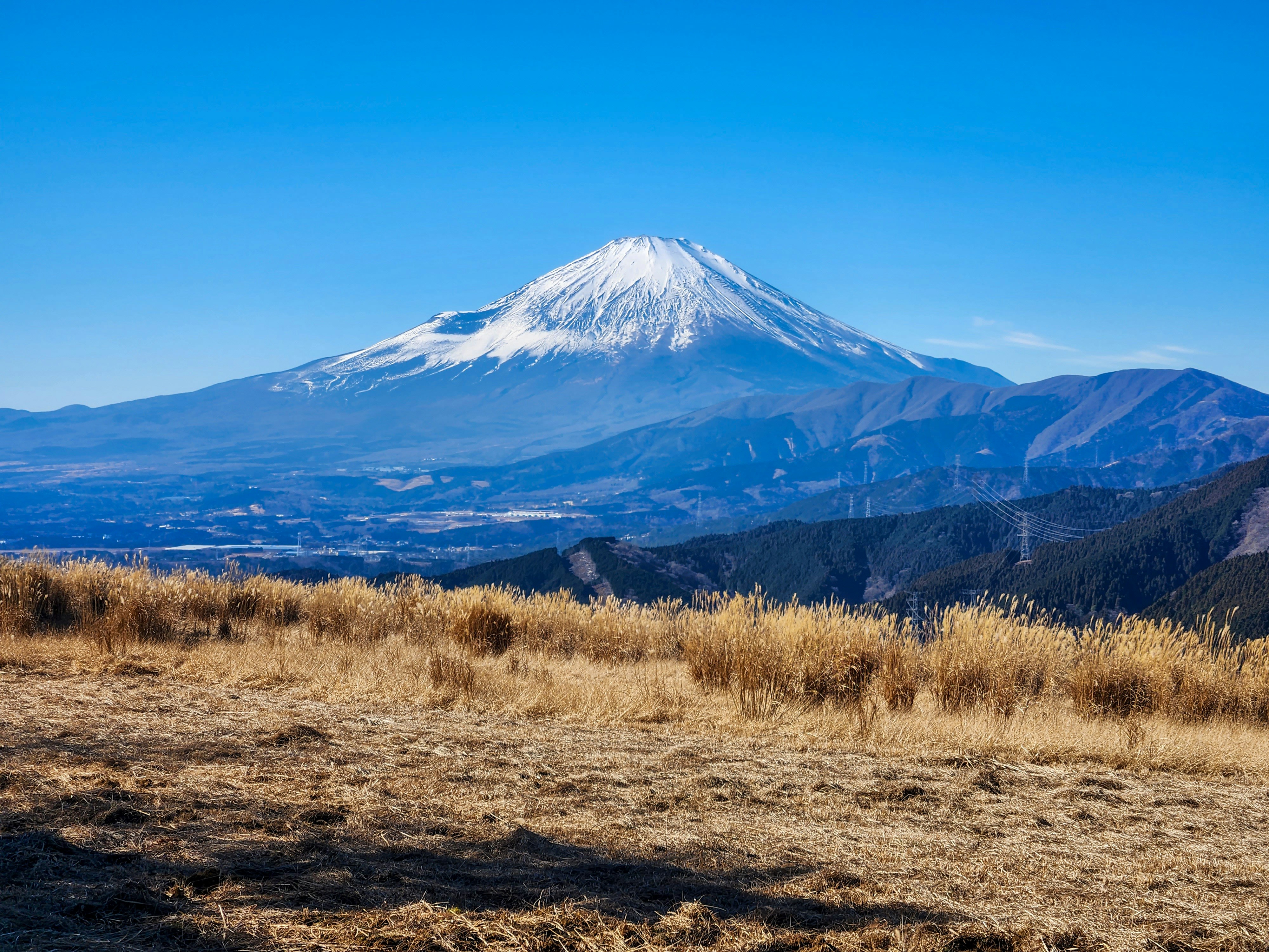 Photo by dsnphotography