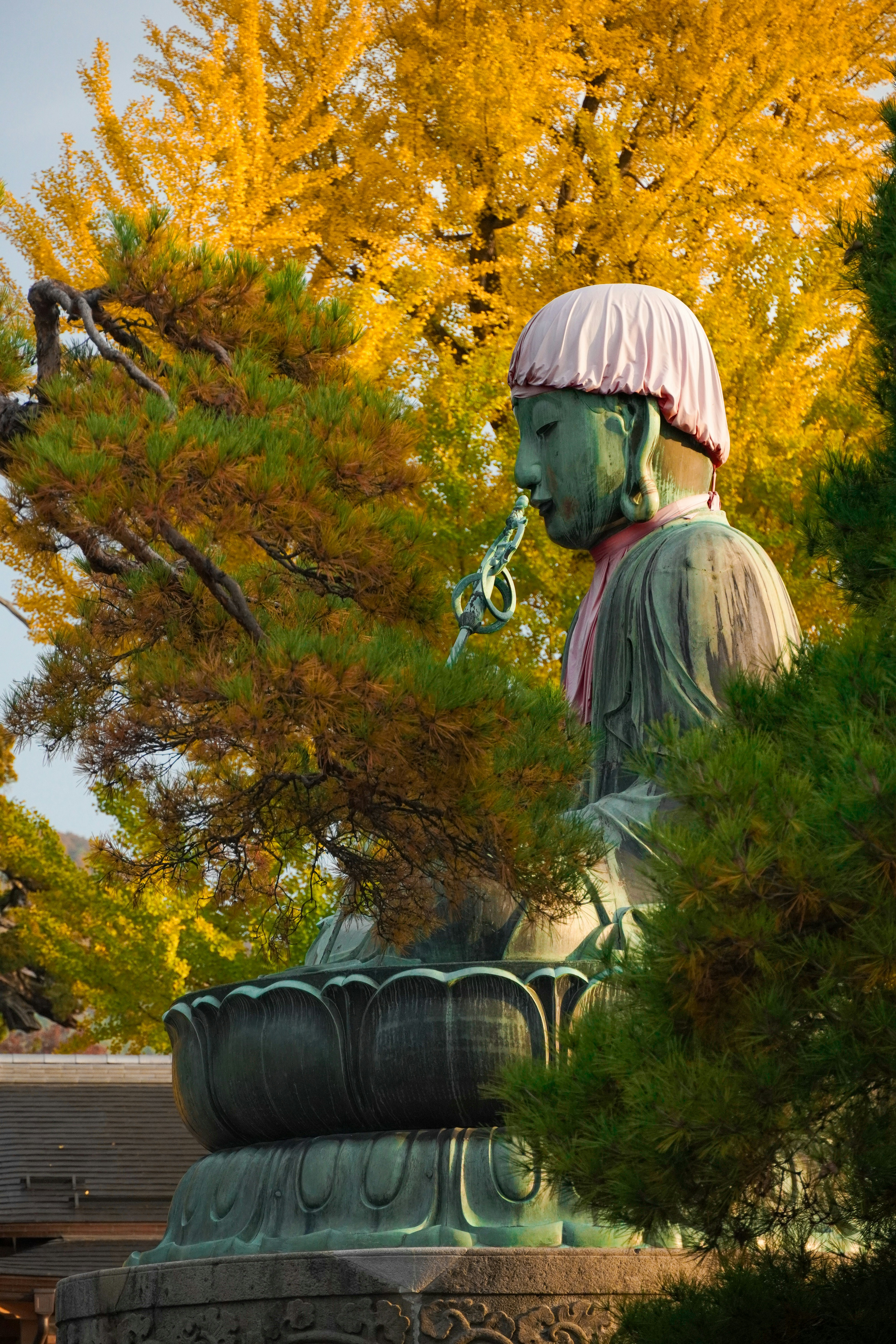 Photo by dsnphotography