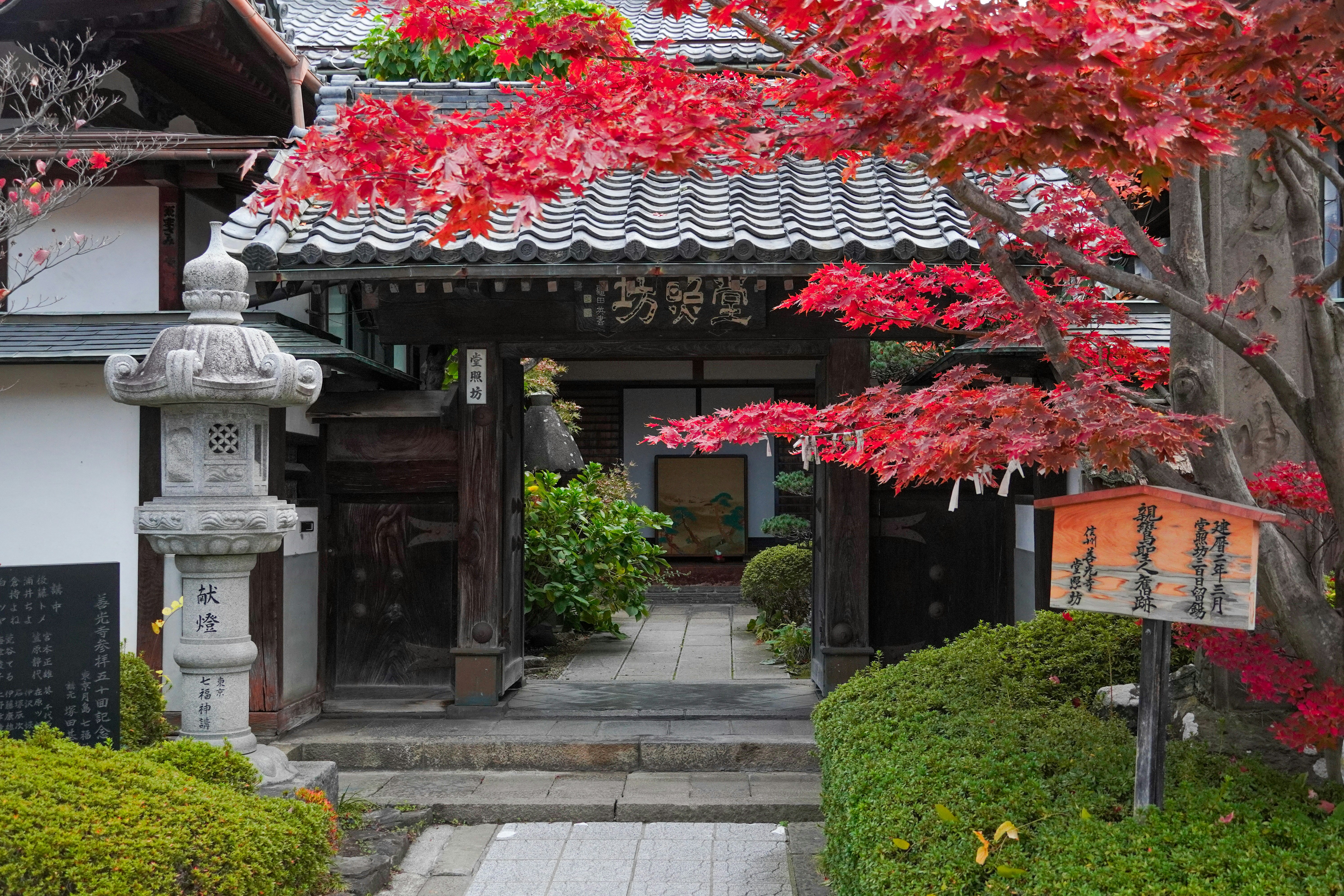 Photo by dsnphotography