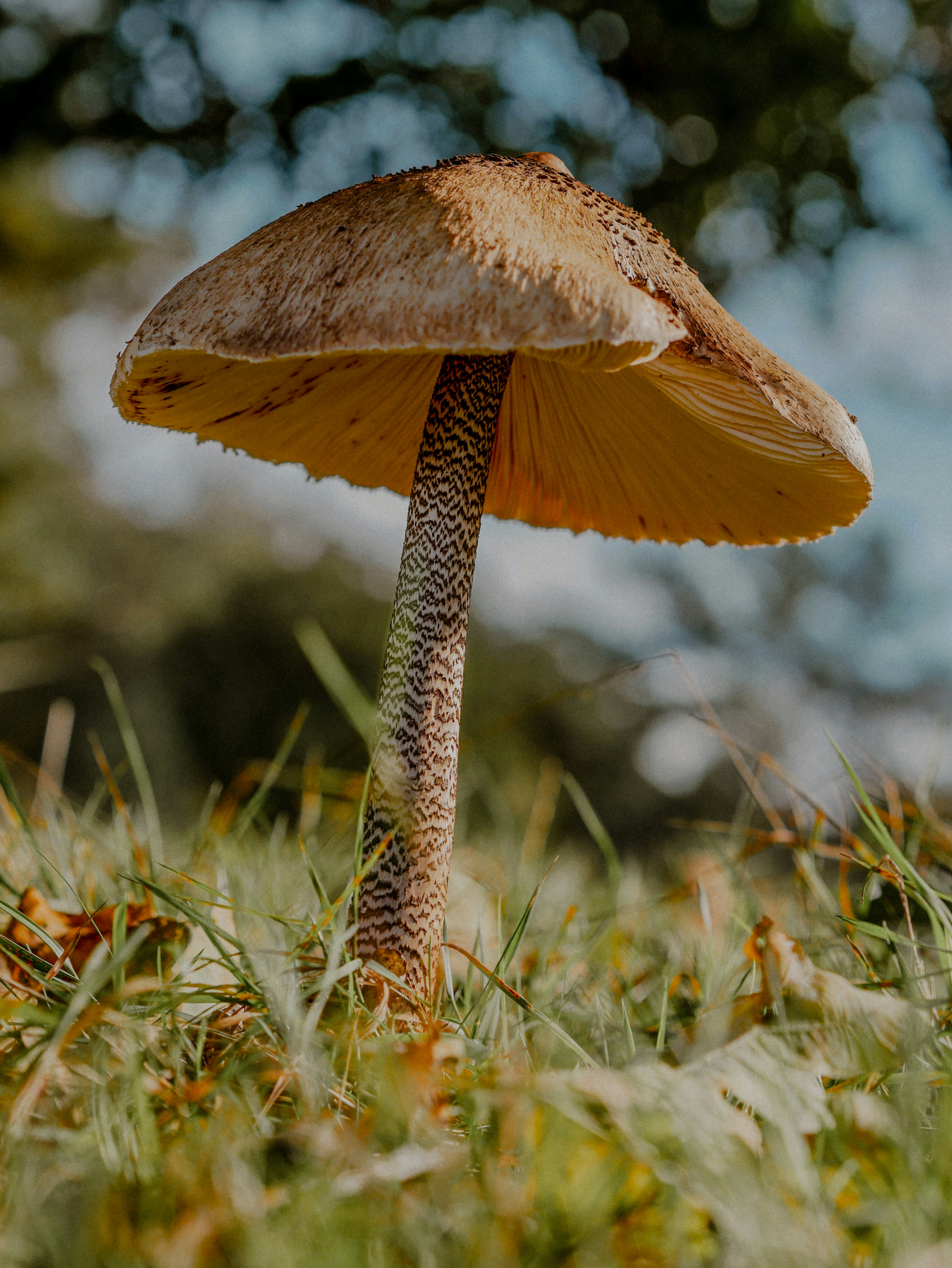 Photo by webistanl
