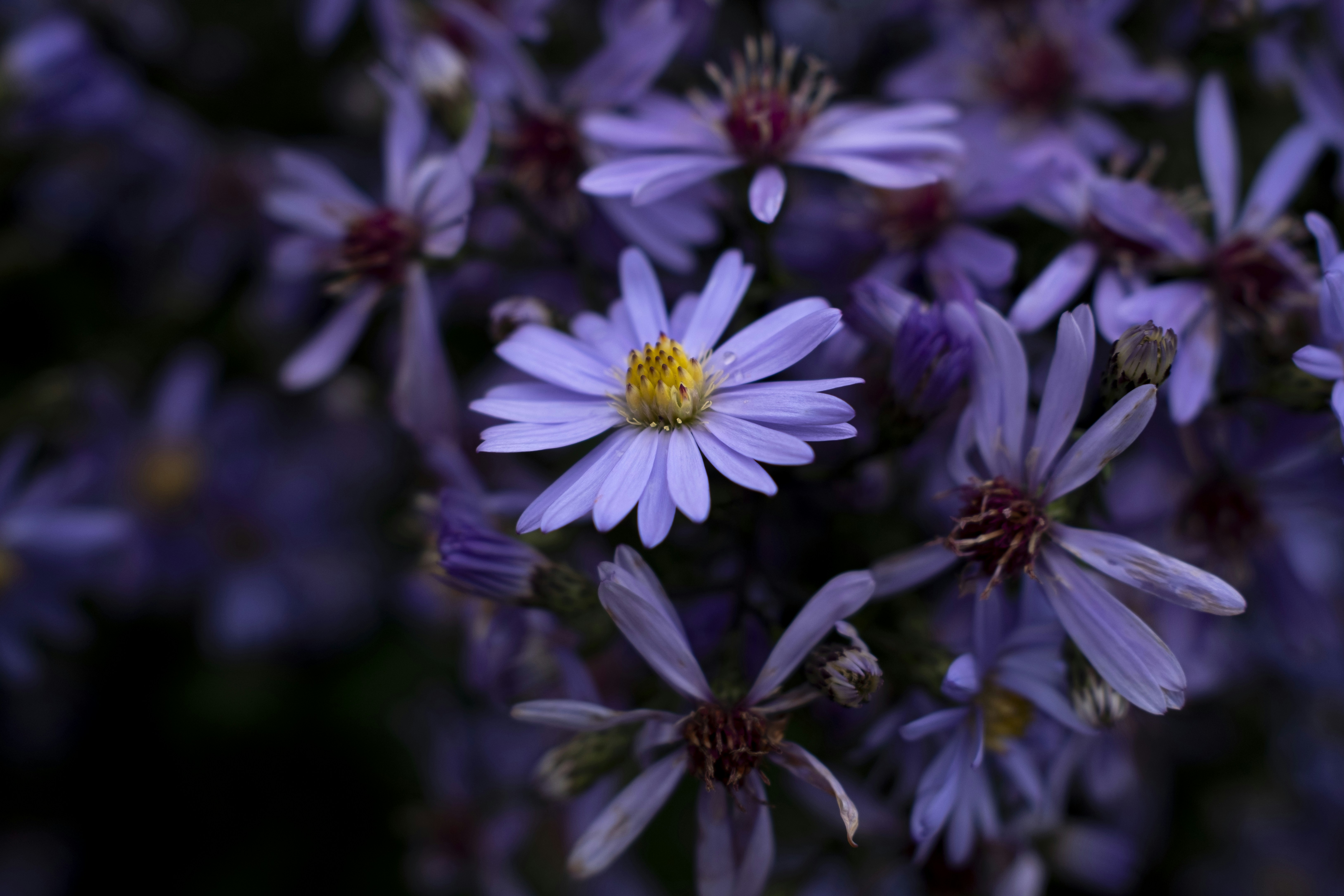 Photo by tomjrobinson