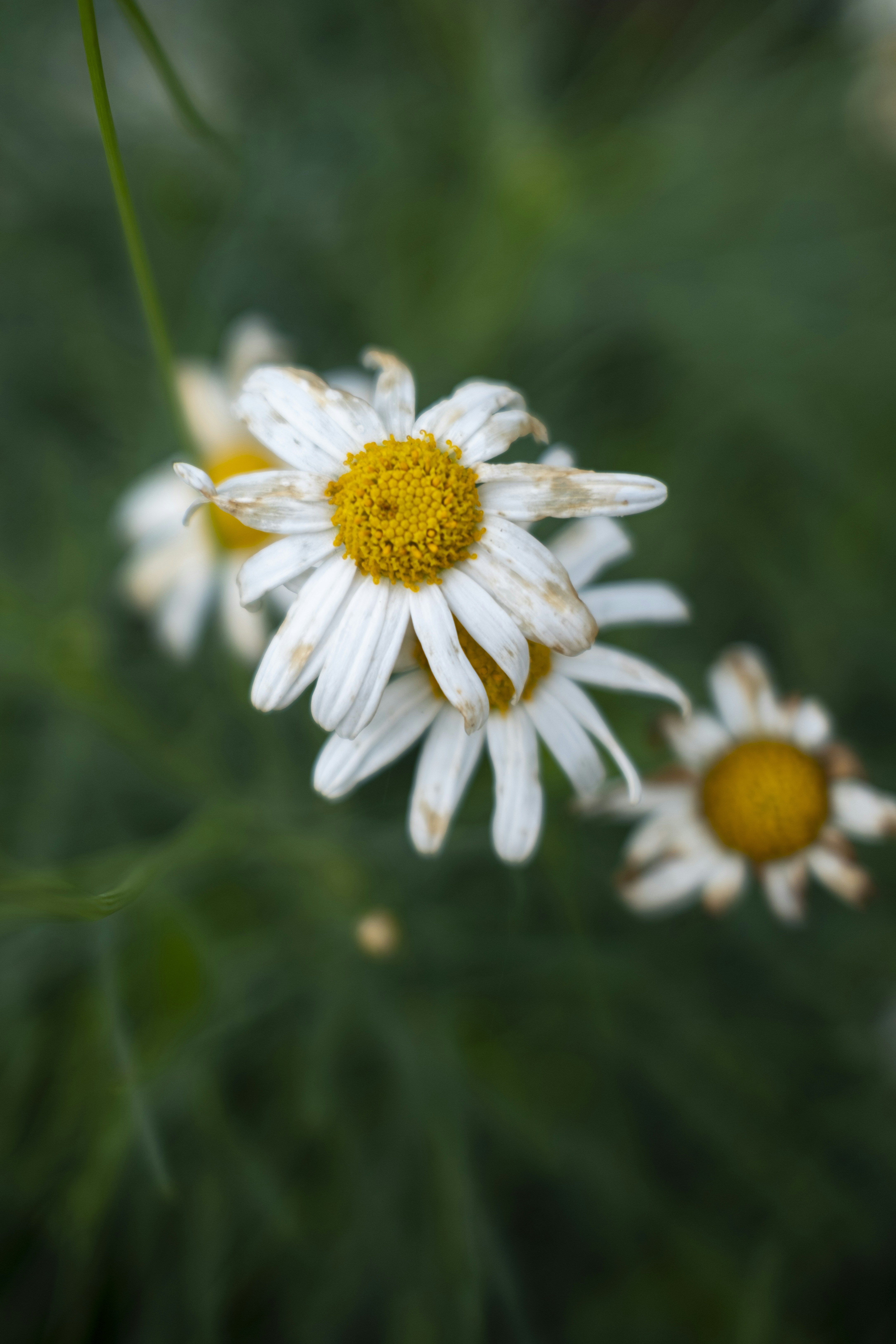 Photo by tomjrobinson