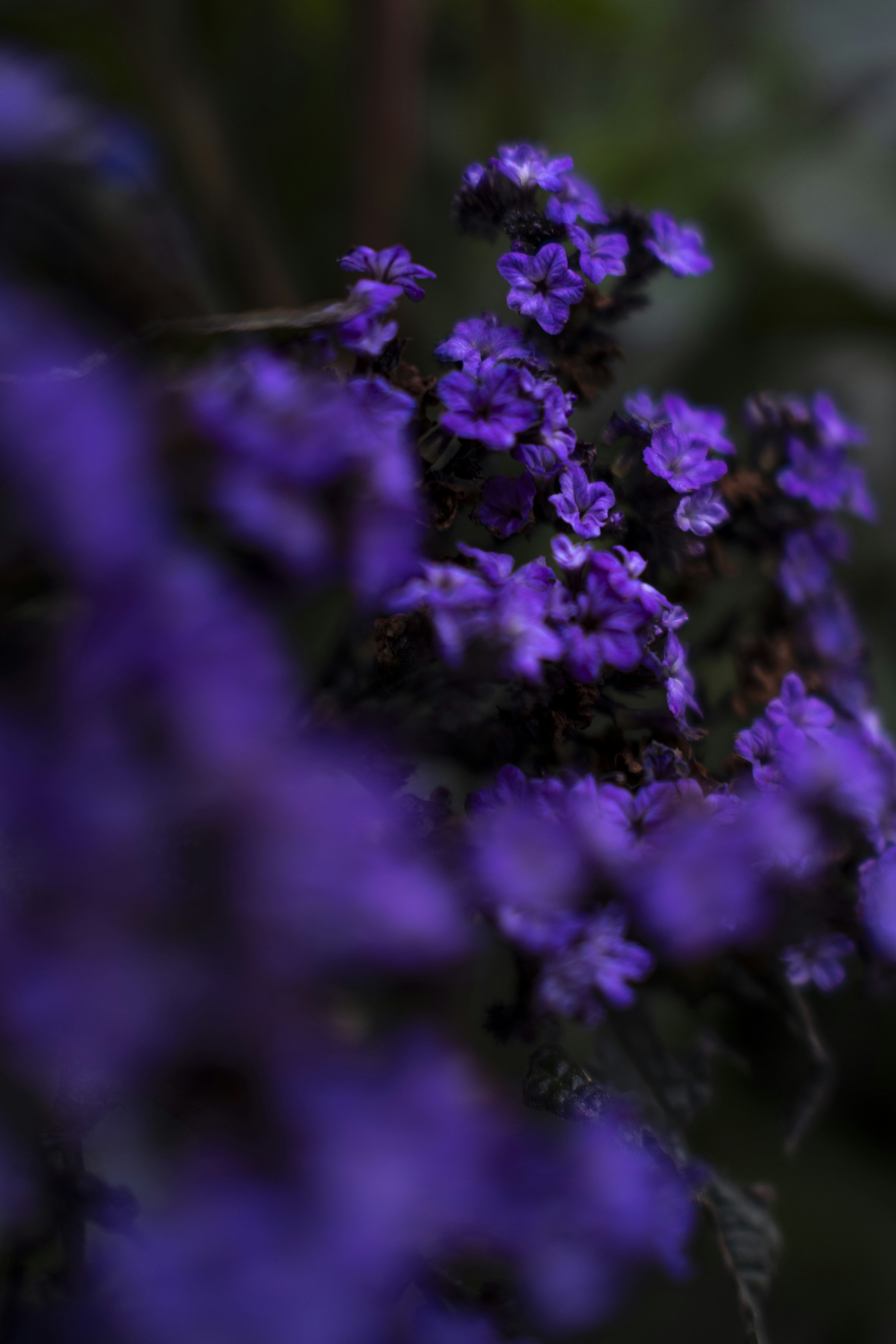 Photo by tomjrobinson