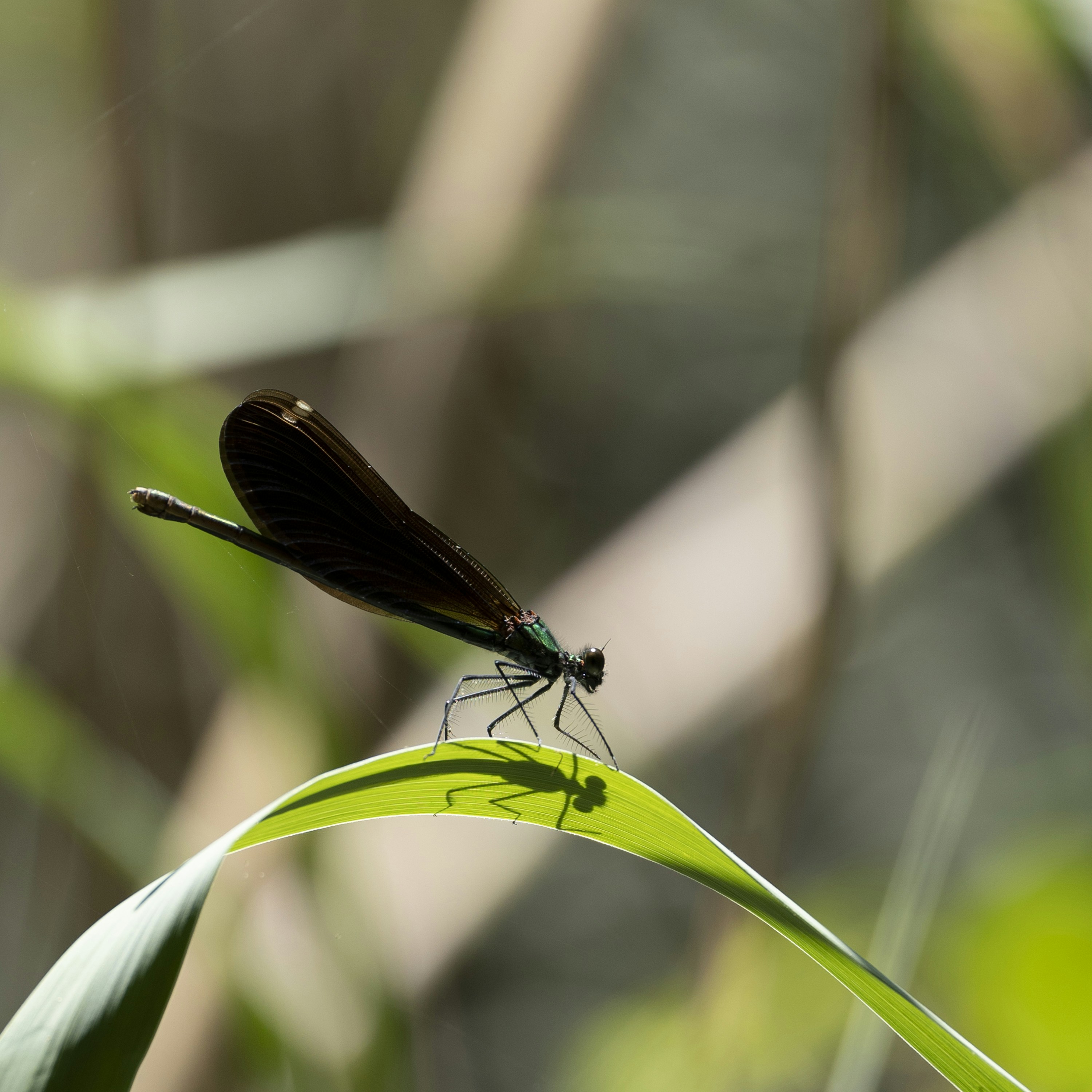 Photo by hanspetertraunig