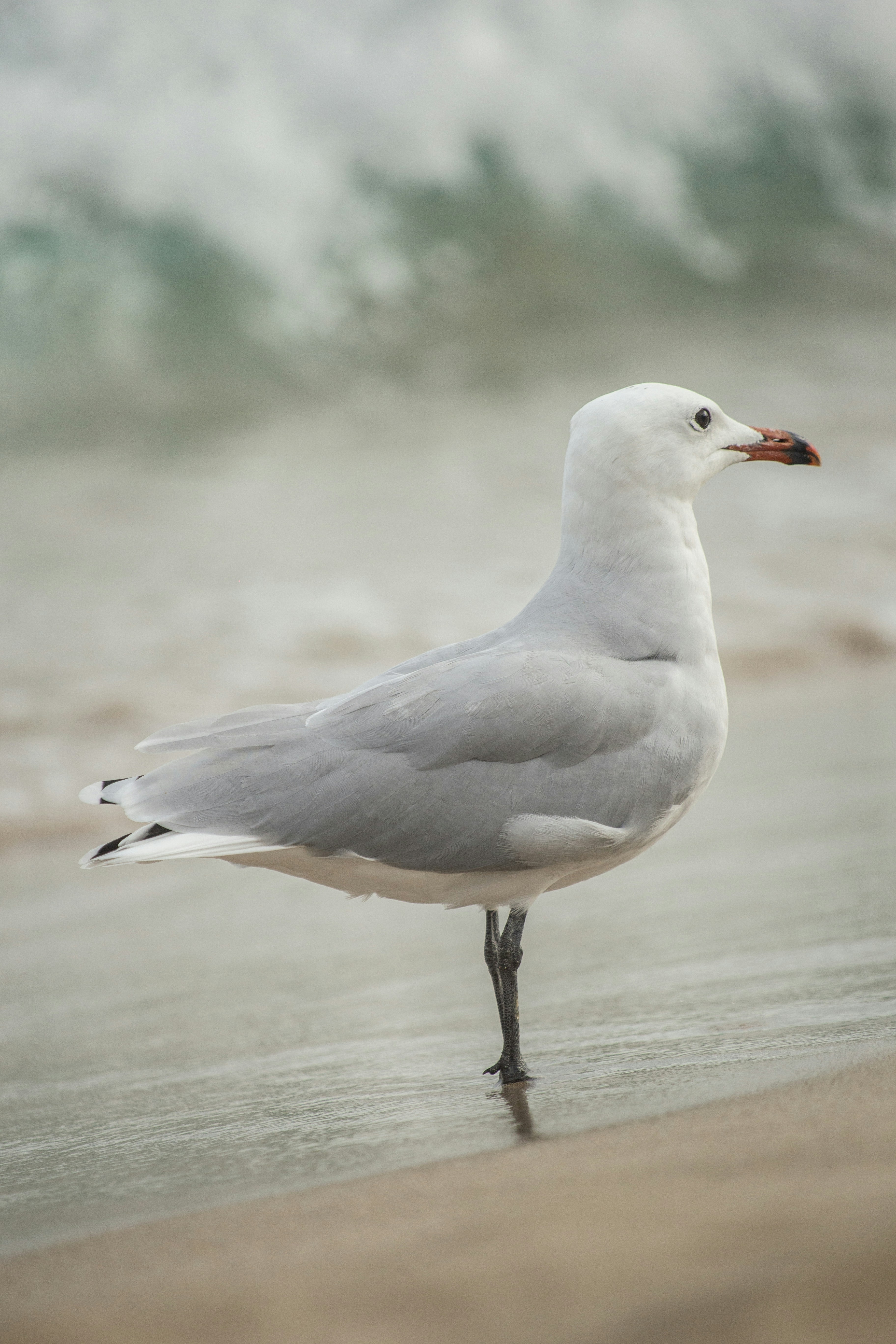 Photo by raymondpetrik