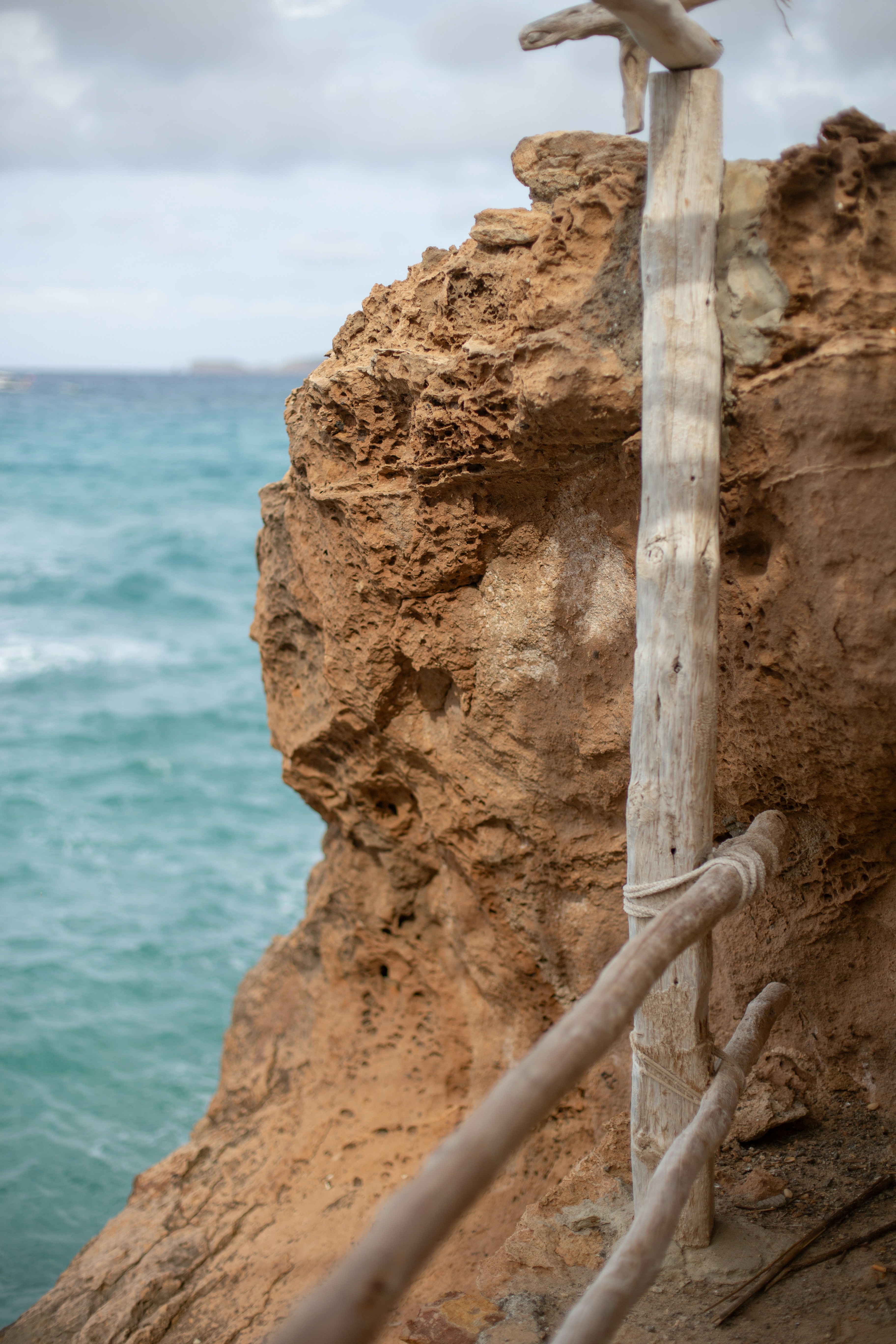 Un oiseau perché sur un poteau en bois près de l’océan