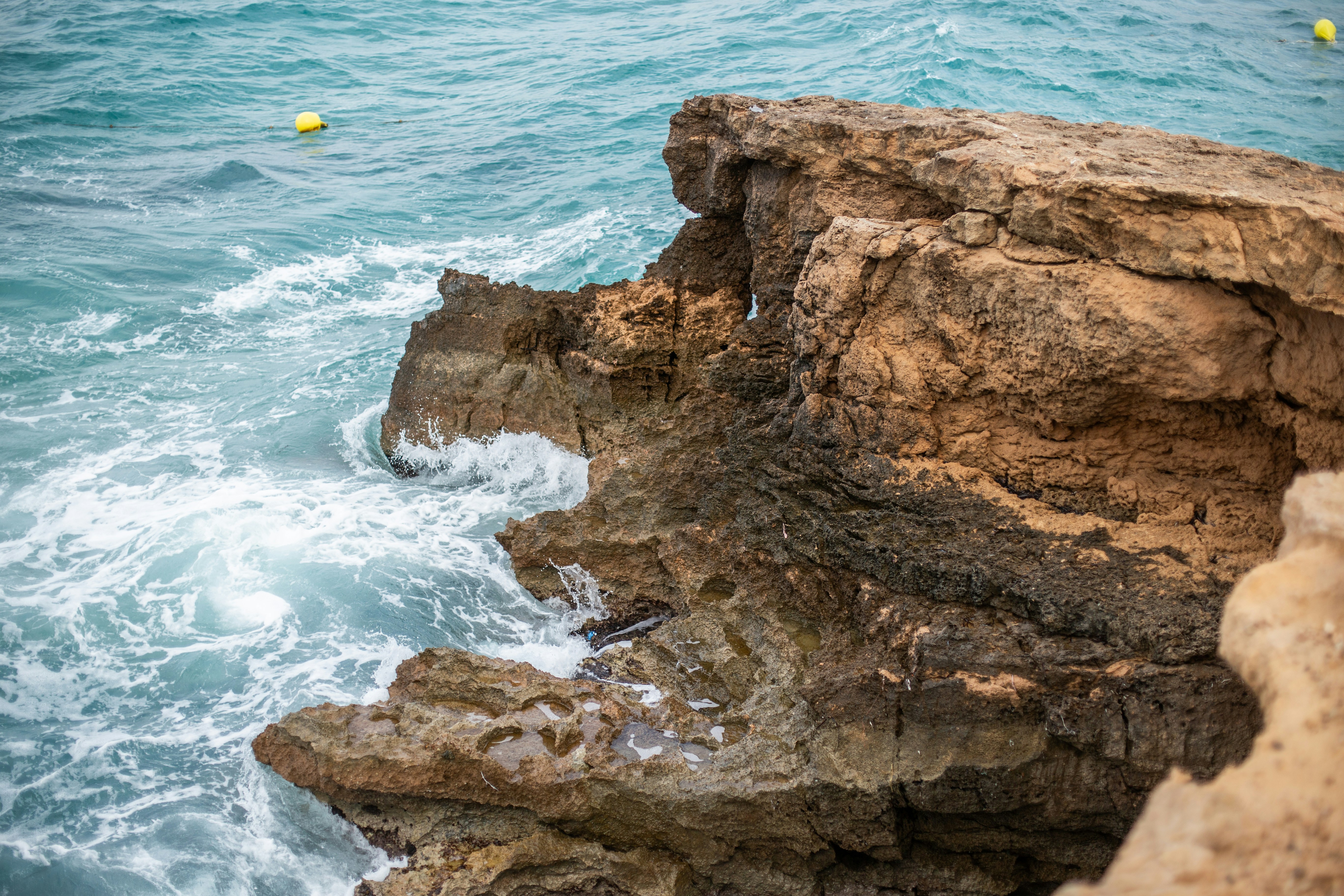 Photo by raymondpetrik