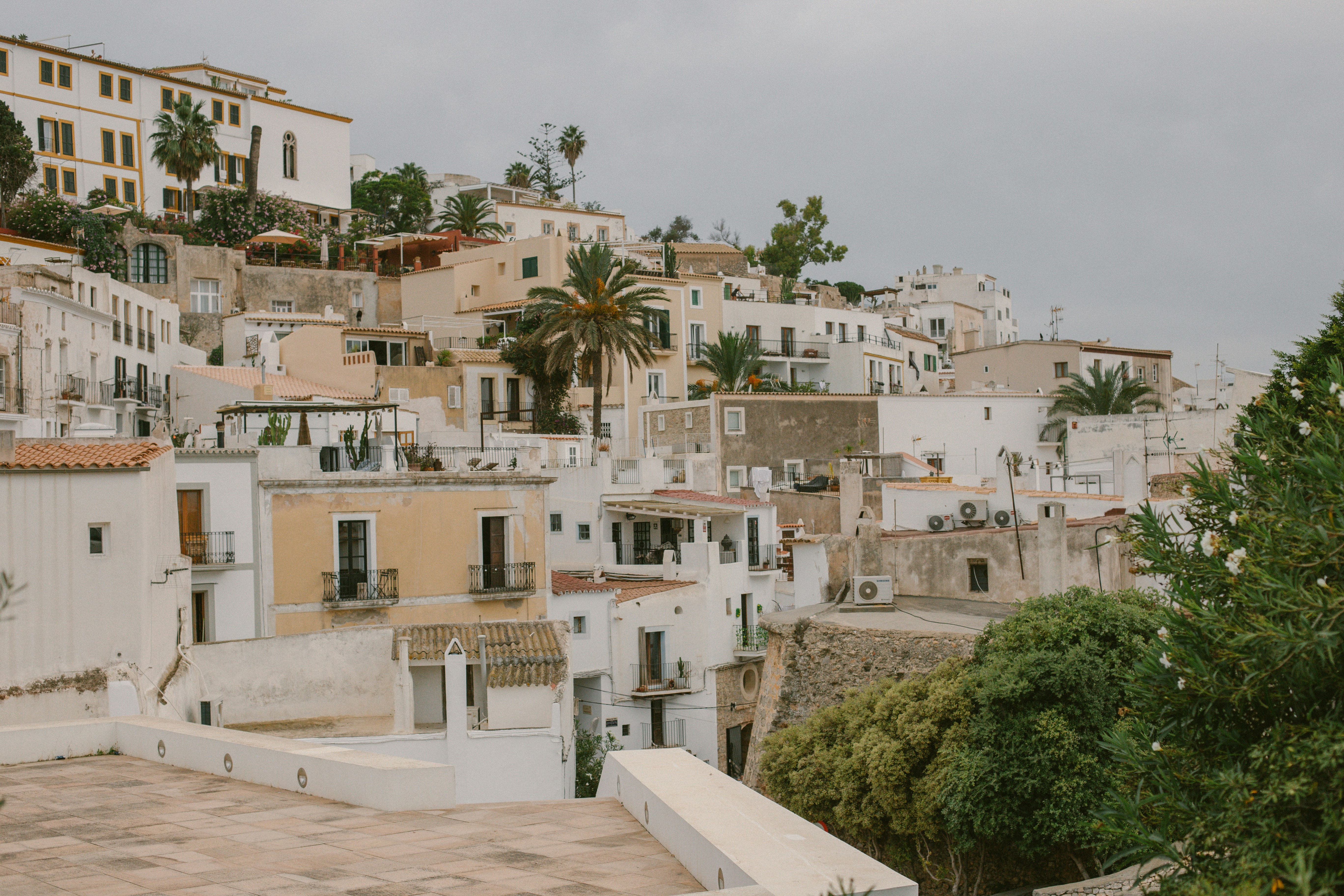 Photo by raymondpetrik