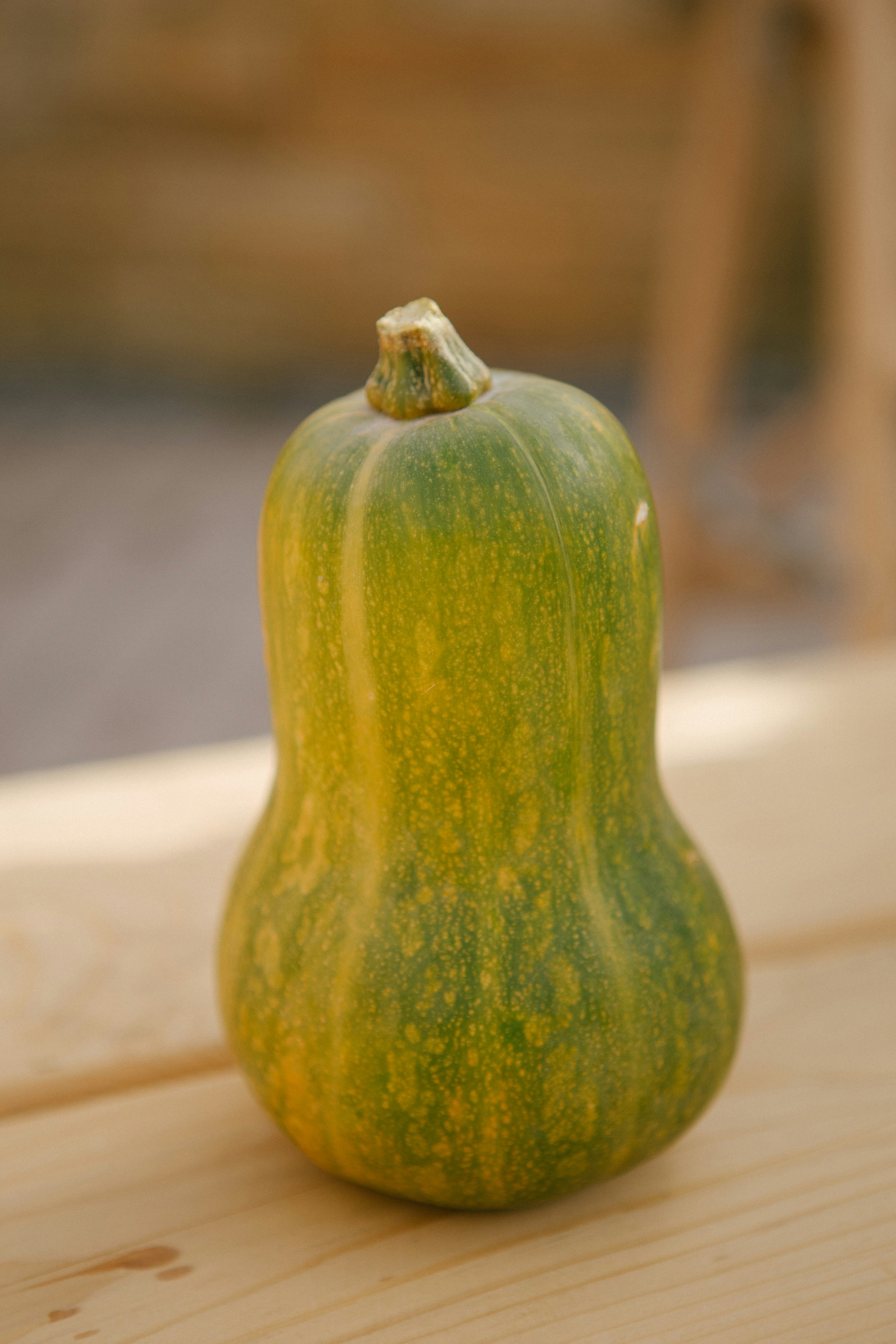 Photo by raymondpetrik