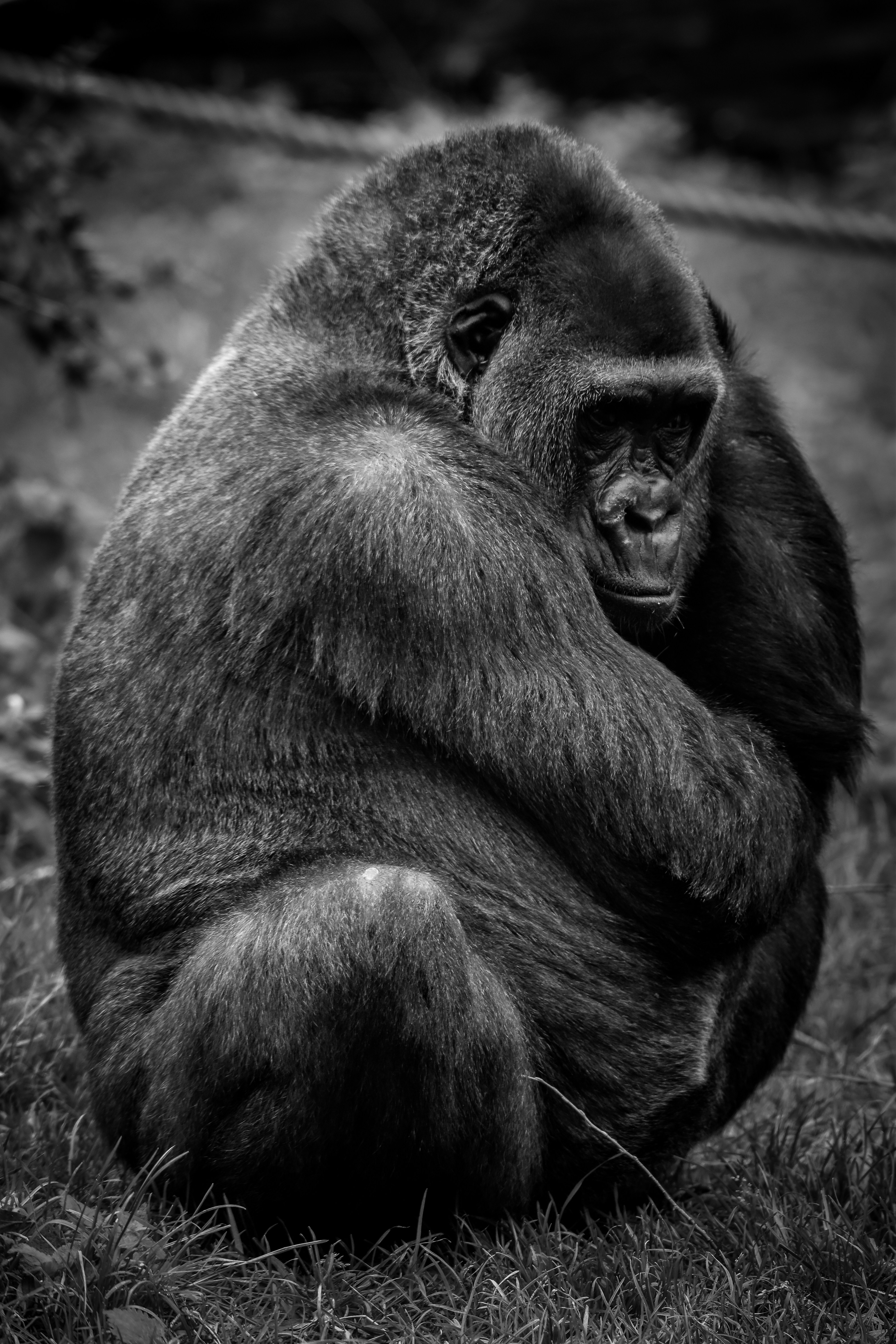 Photo by aarondcosta0